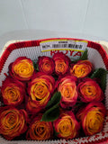 Farm Fresh Rosa Ecuadorian Gr Atomic (Bunch of 25 stems, Length 40cm)