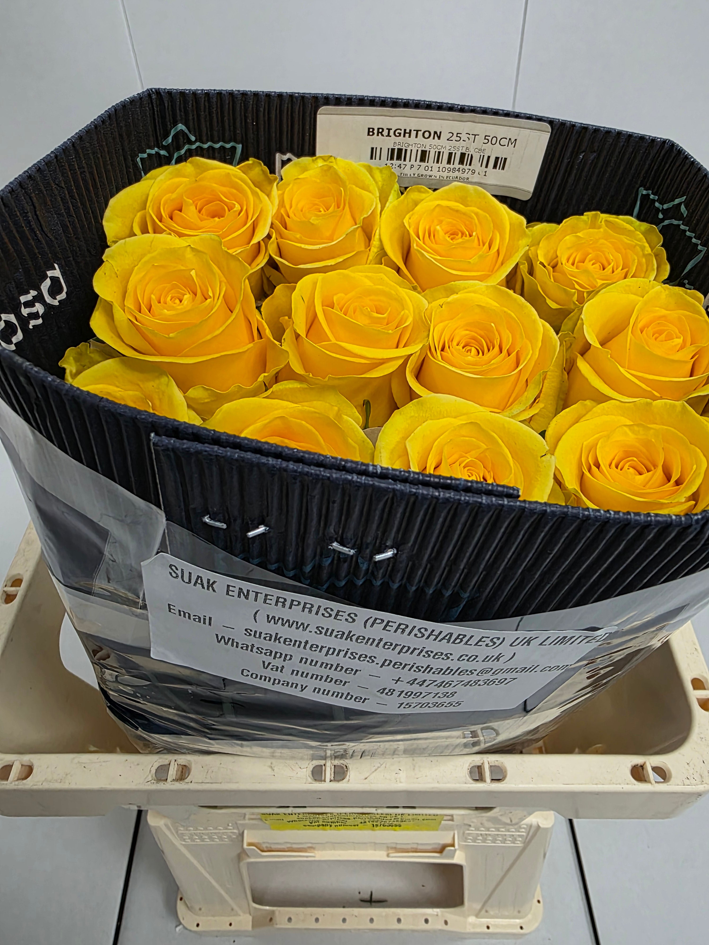 Farm Fresh Rosa Ecuadorian Gr Brighton (Bunch of 25 stems, Length 50cm)