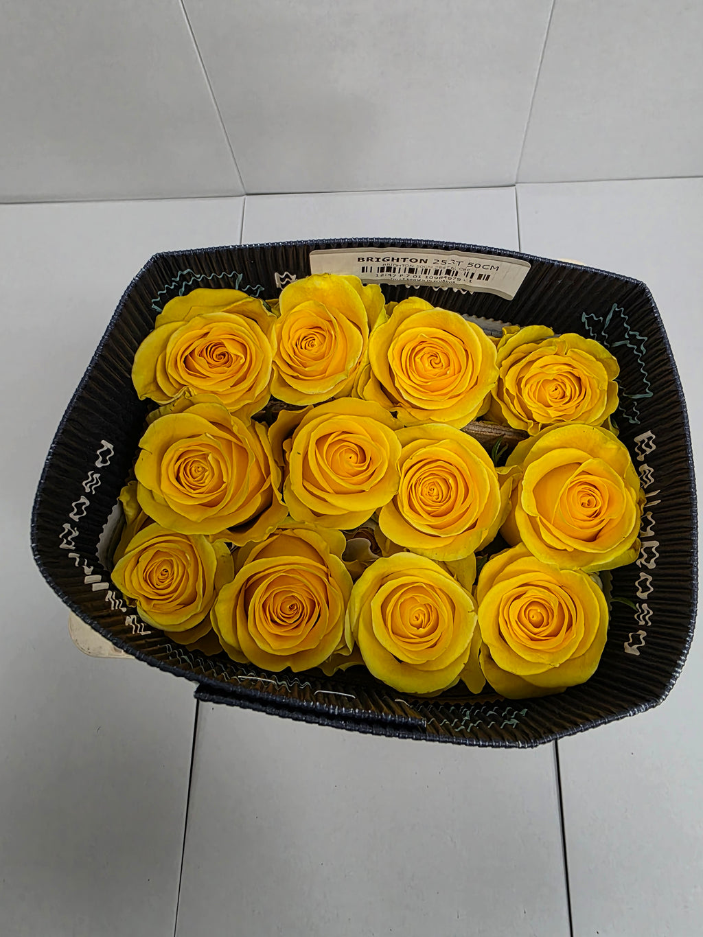 Farm Fresh Rosa Ecuadorian Gr Brighton (Bunch of 25 stems, Length 50cm)