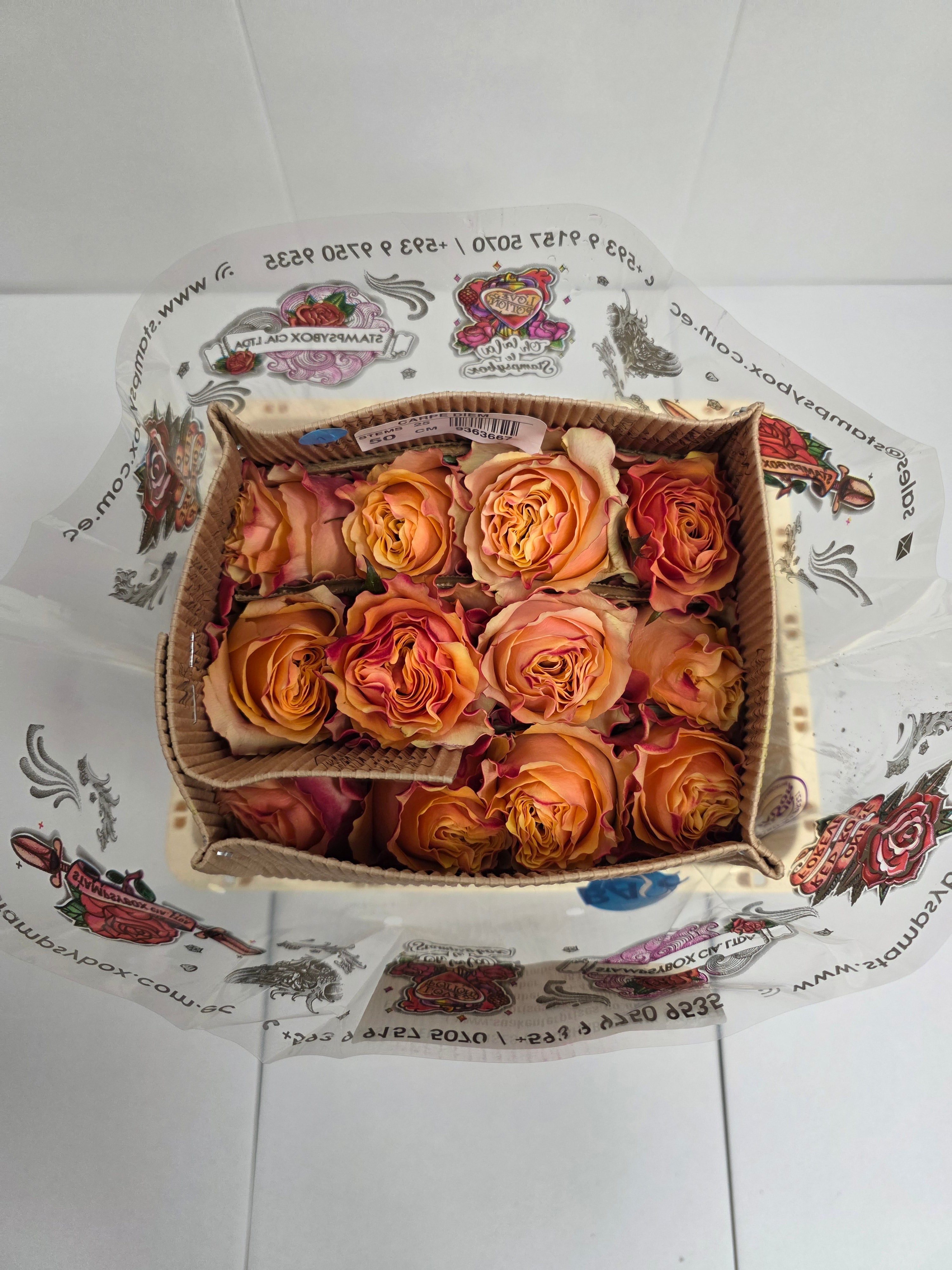 Farm Fresh Rosa Ecuadorian Gr Carpediem(Bunch of 25 stems, Length 50cm)