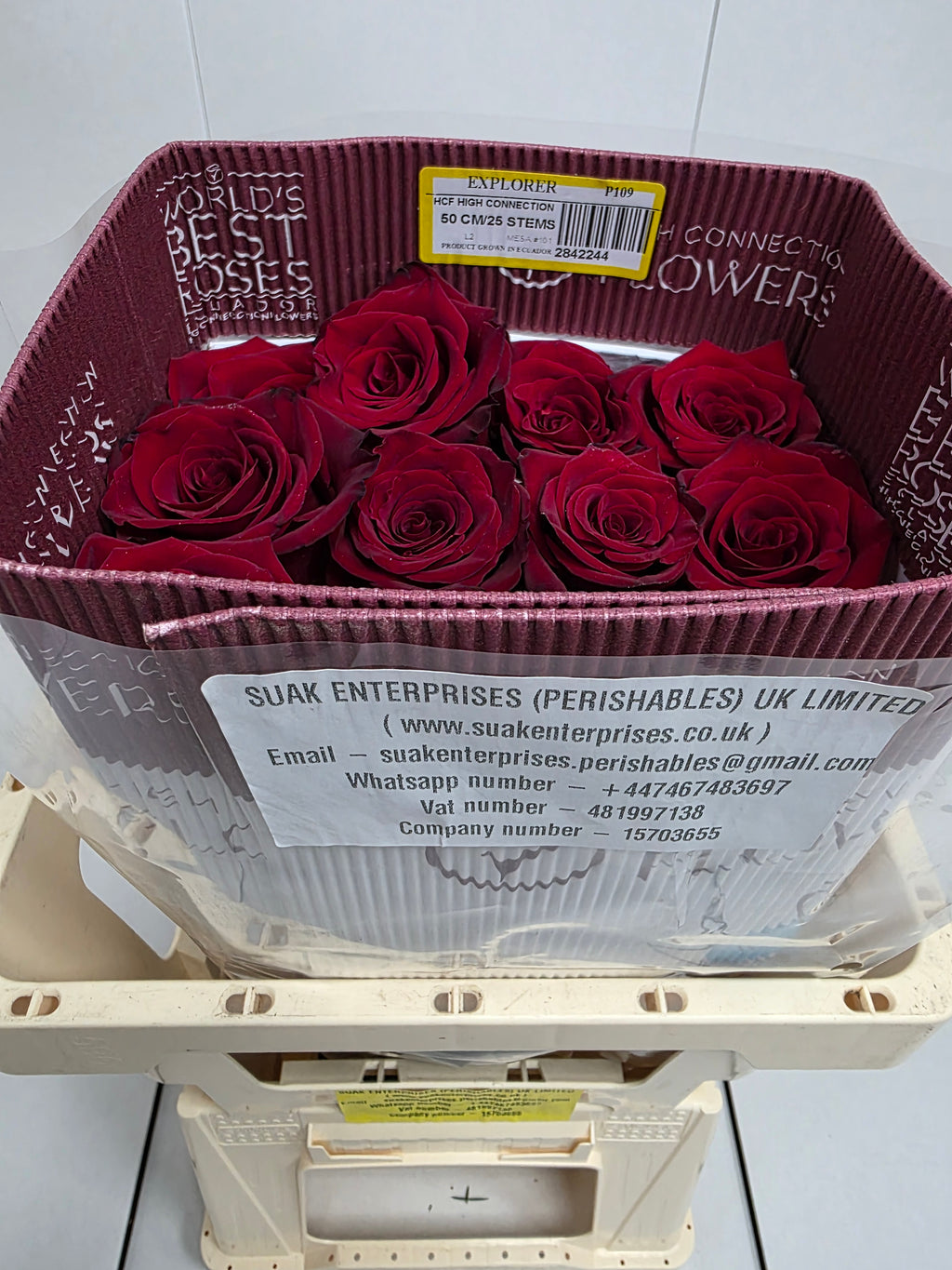 Farm Fresh Rosa Ecuadorian Gr Explorer (Bunch of 25 stems, Length 50cm)