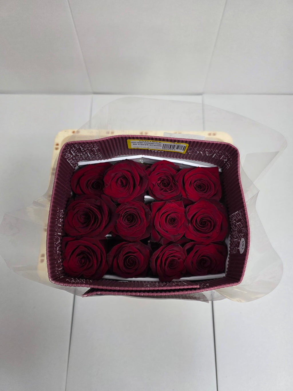 Farm Fresh Rosa Ecuadorian Gr Explorer (Bunch of 25 stems, Length 50cm)