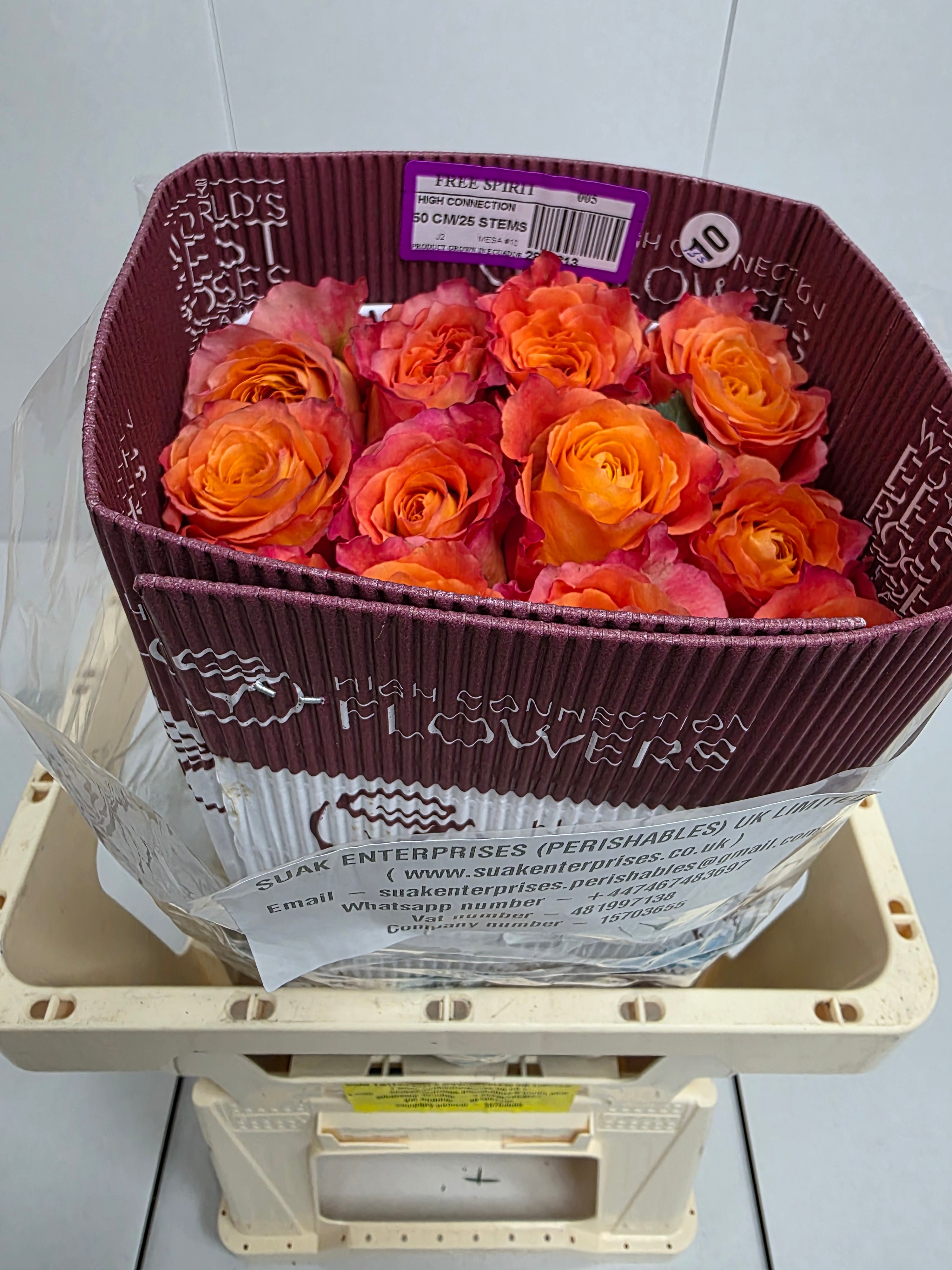 Farm Fresh Rosa Ecuadorian Gr Free Spirit  (Bunch of 25 stems, Length 50cm)