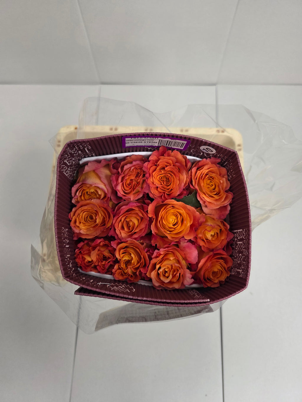 Farm Fresh Rosa Ecuadorian Gr Free Spirit  (Bunch of 25 stems, Length 50cm)