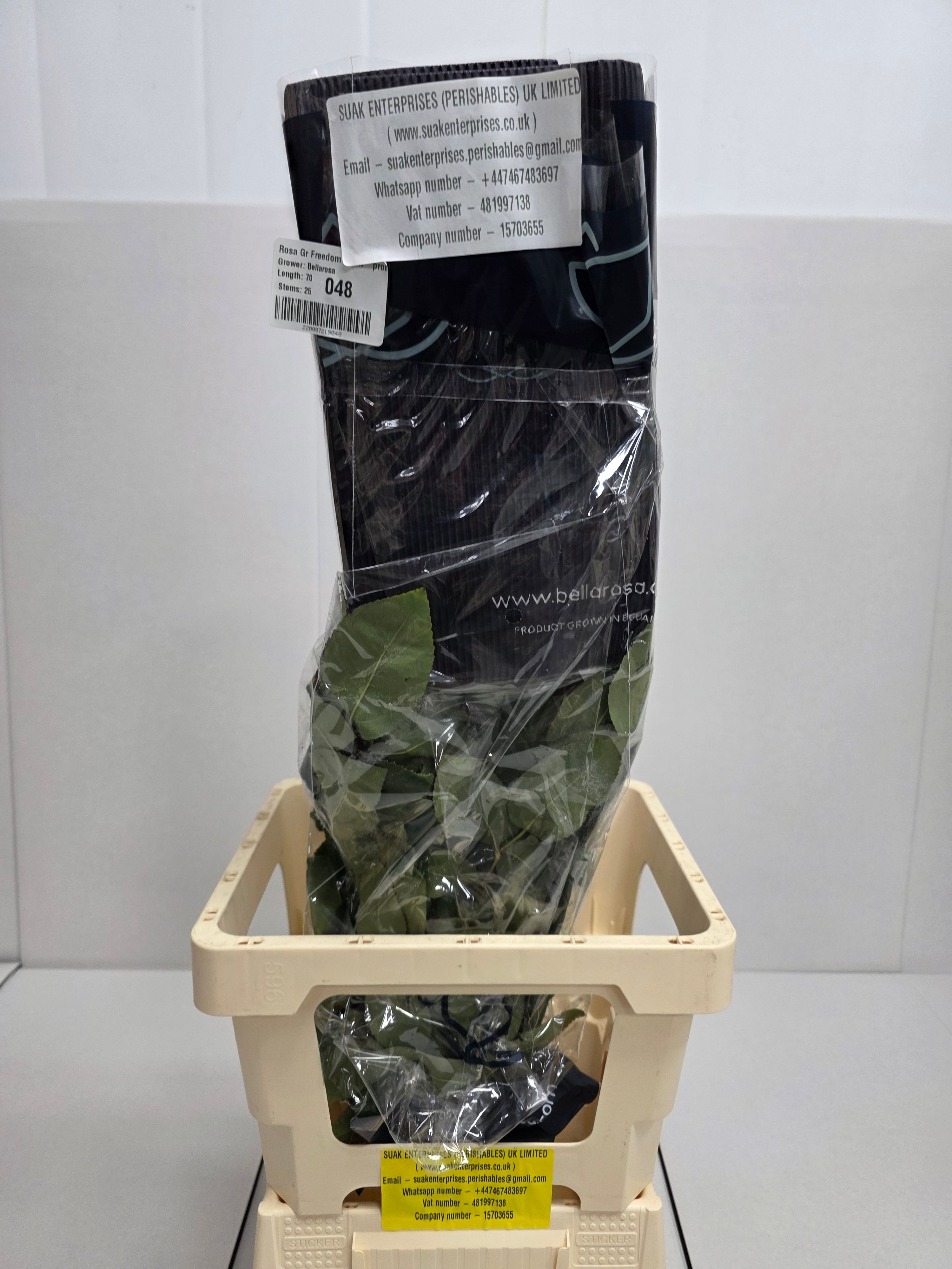 Farm Fresh Rosa Ecuadorian Gr Freedom 70cm (Bunch of 25 stems, Length ,70cm)