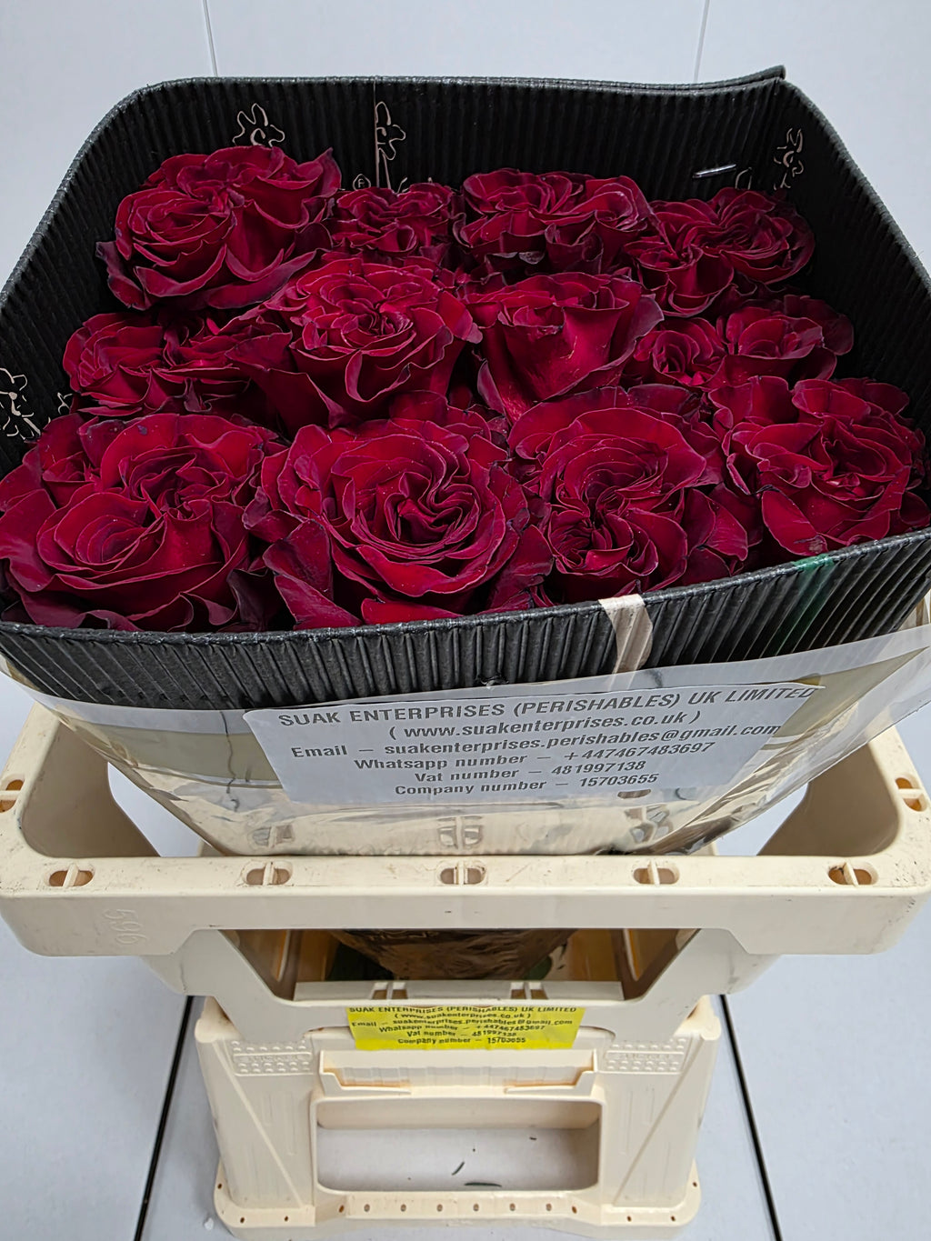 Farm Fresh Rosa Ecuadorian Gr Hearts (Bunch of 25 stems, Length 50cm)