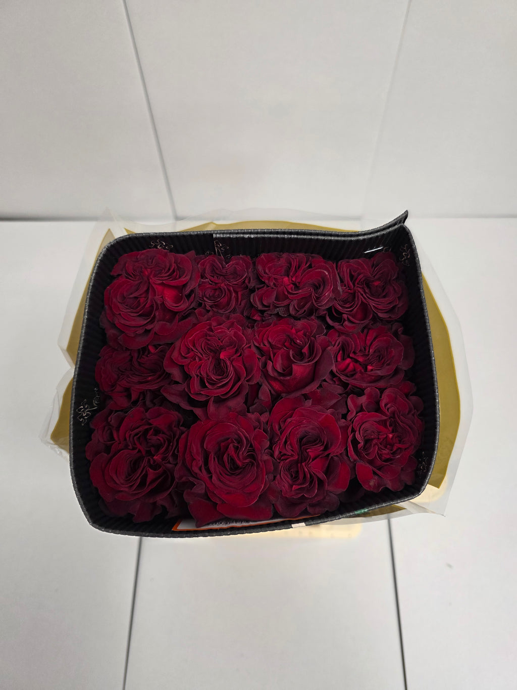Farm Fresh Rosa Ecuadorian Gr Hearts (Bunch of 25 stems, Length 50cm)