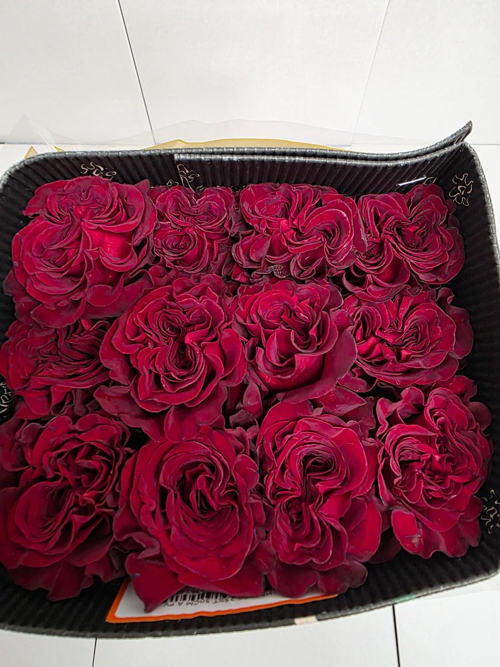 Farm Fresh Rosa Ecuadorian Gr Hearts (Bunch of 25 stems, Length 50cm)