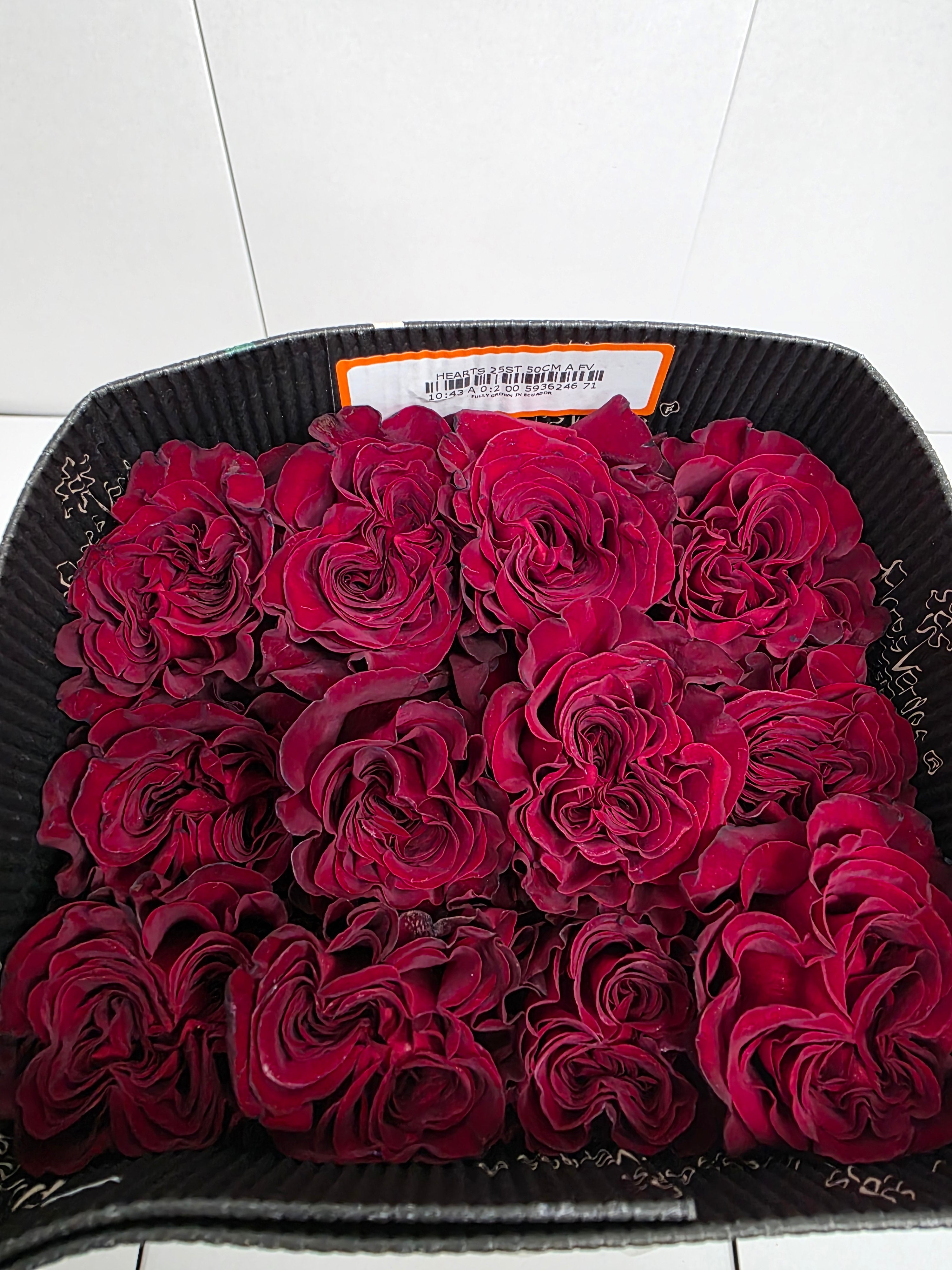 Farm Fresh Rosa Ecuadorian Gr Hearts (Bunch of 25 stems, Length 50cm)