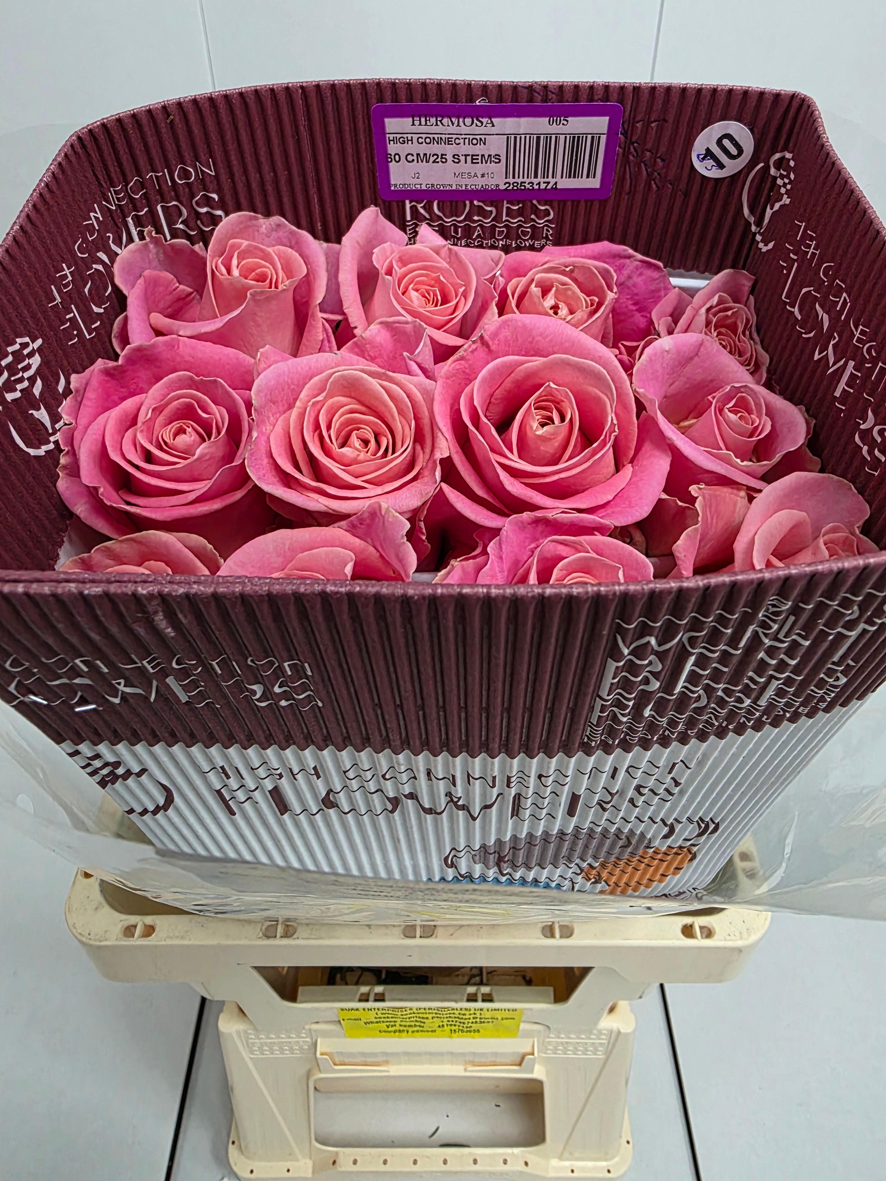 Farm Fresh Rosa Ec Gr Hermosa (Bunch of 25 stems, Length 60cm)