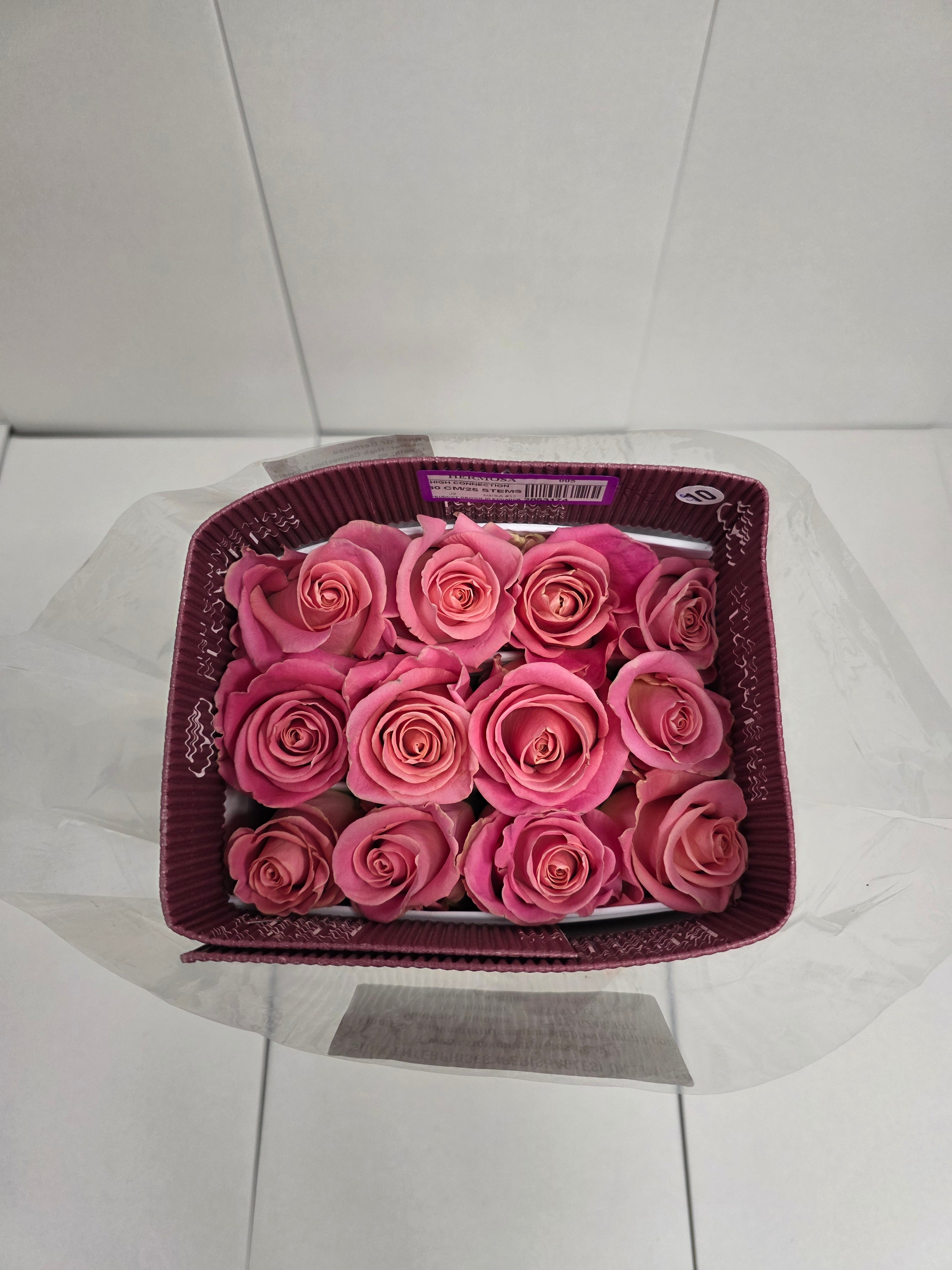 Farm Fresh Rosa Ec Gr Hermosa (Bunch of 25 stems, Length 60cm)