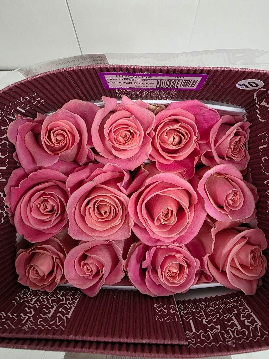 Farm Fresh Rosa Ec Gr Hermosa (Bunch of 25 stems, Length 60cm)