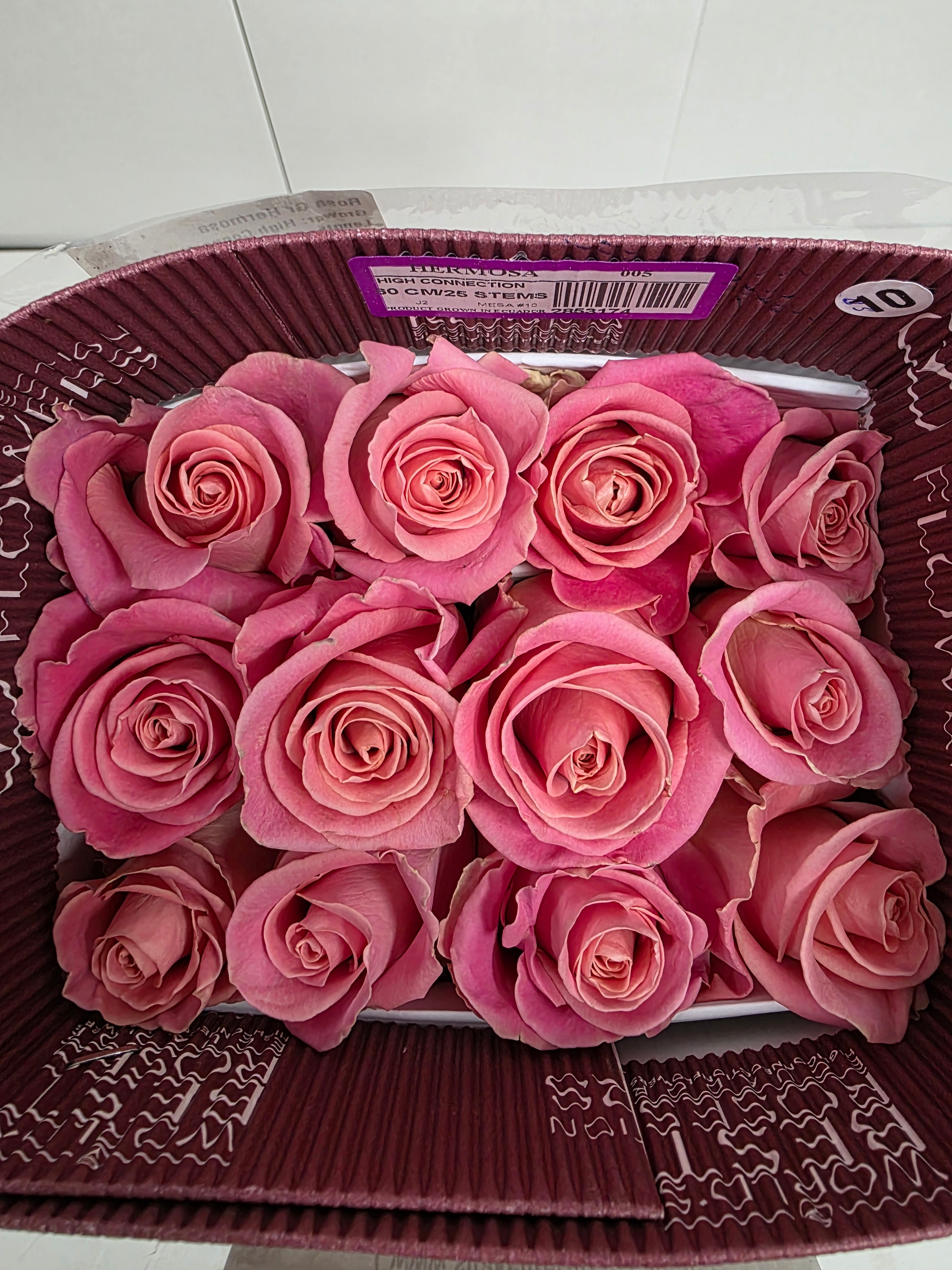 Farm Fresh Rosa Ec Gr Hermosa (Bunch of 25 stems, Length 60cm)