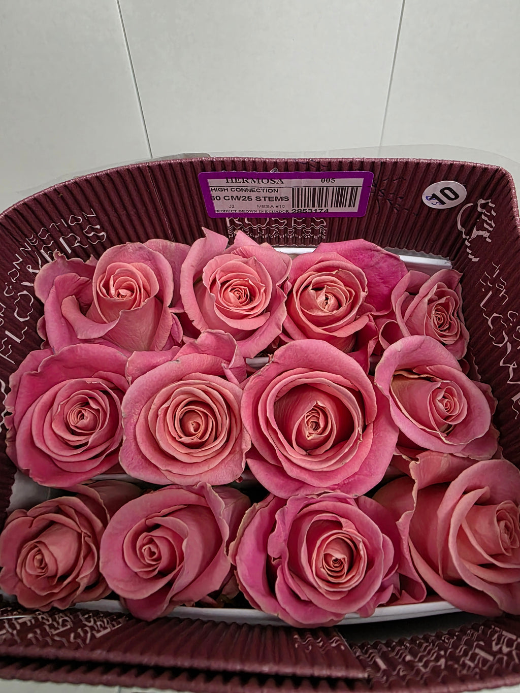Farm Fresh Rosa Ec Gr Hermosa (Bunch of 25 stems, Length 60cm)