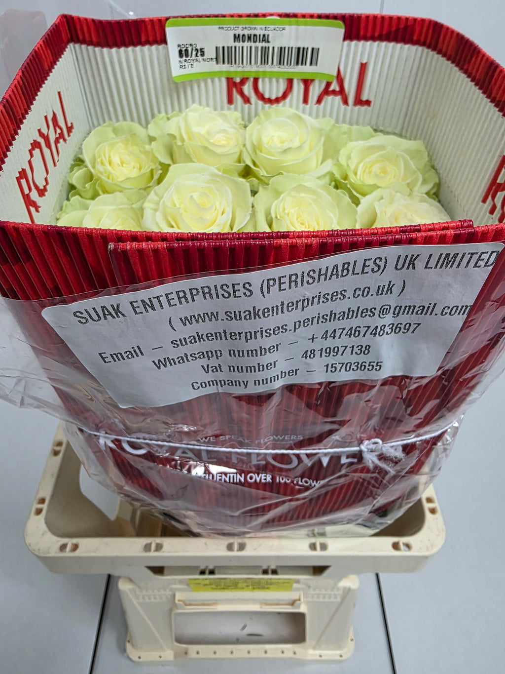 Farm Fresh Rosa Ec Gr Mondial 60cm  (Bunch of 25 stems, Length 60cm)