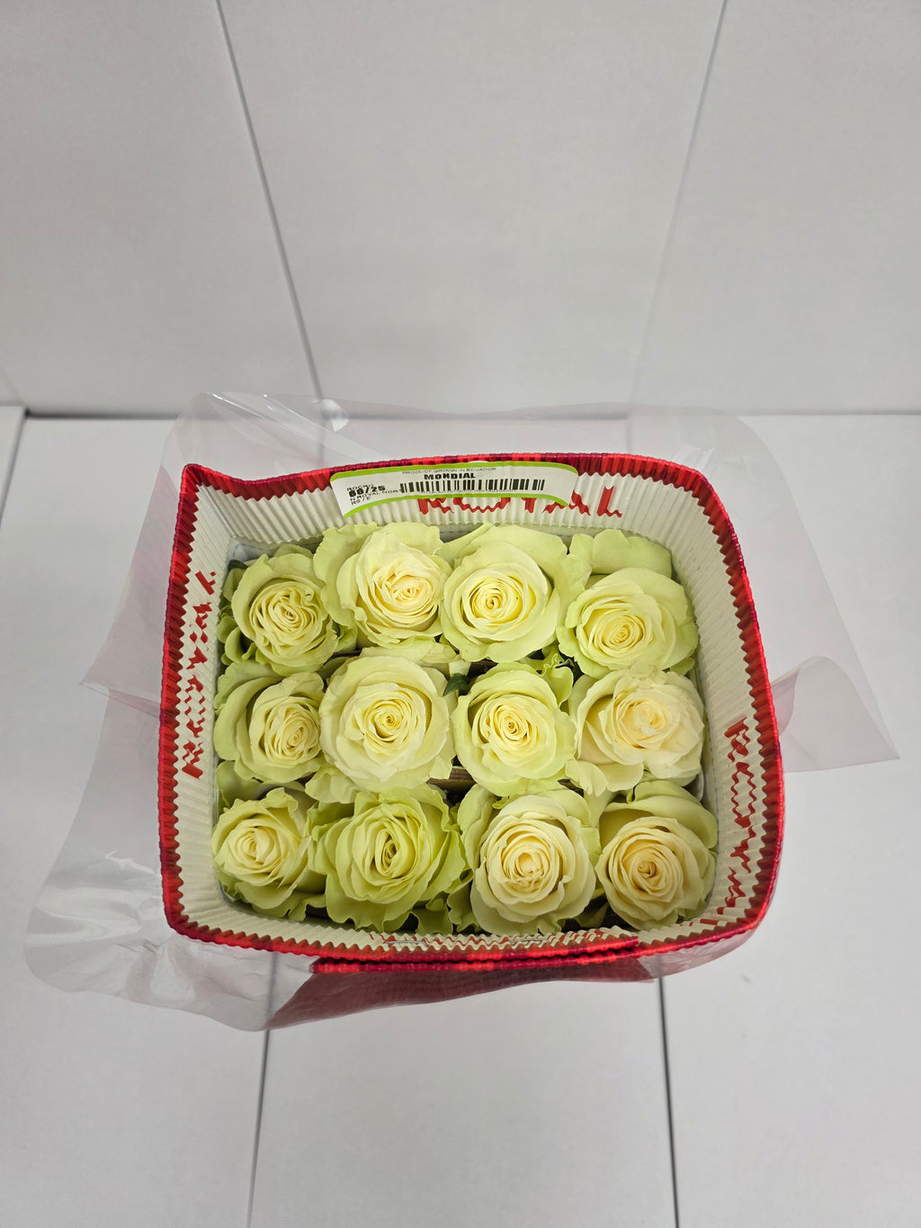 Farm Fresh Rosa Ec Gr Mondial 60cm  (Bunch of 25 stems, Length 60cm)