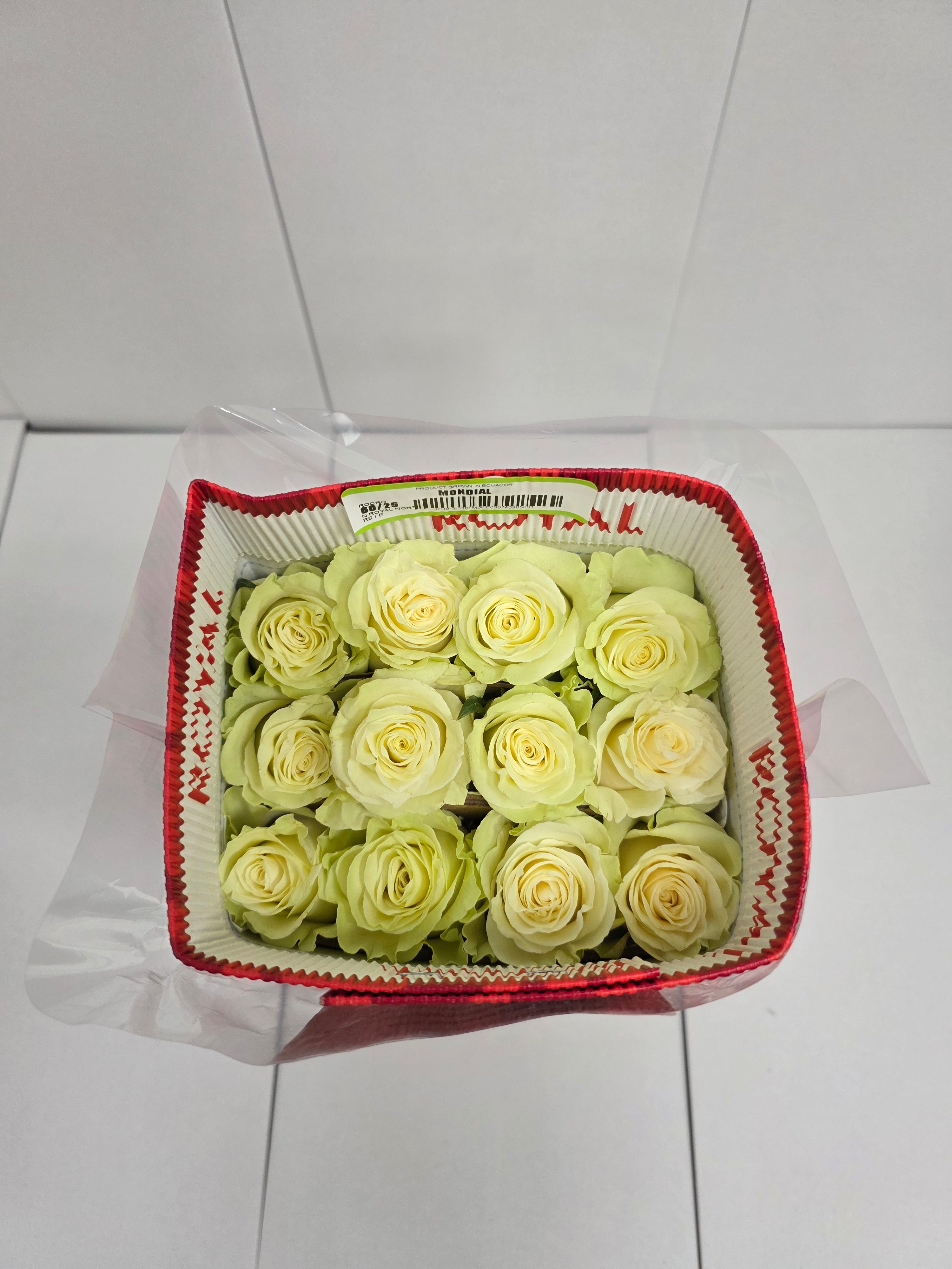Farm Fresh Rosa Ec Gr Mondial 60cm  (Bunch of 25 stems, Length 60cm)