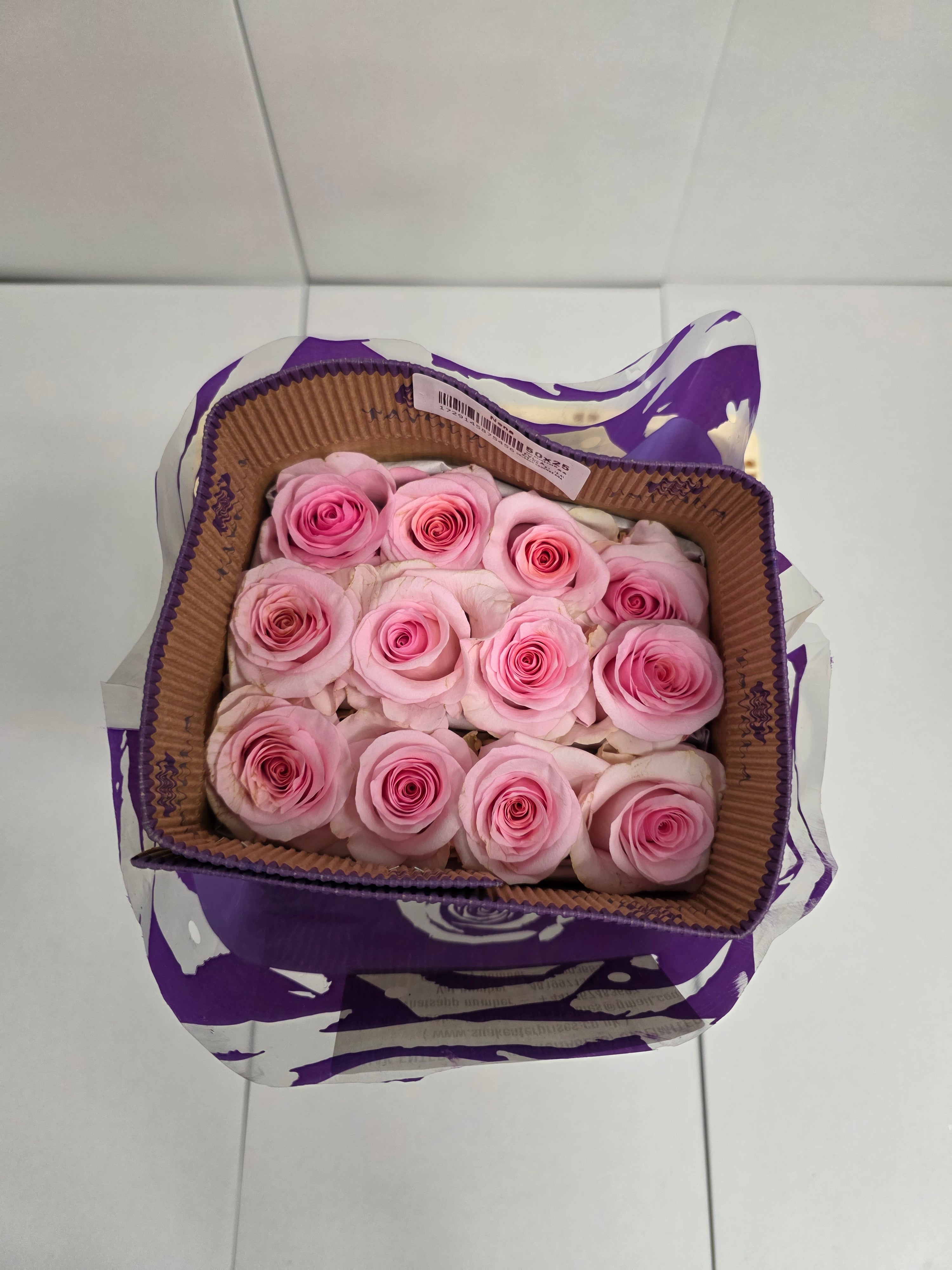 Farm Fresh Rosa Ecuadorian Gr Nena (Bunch of 25 stems, Length 50cm)