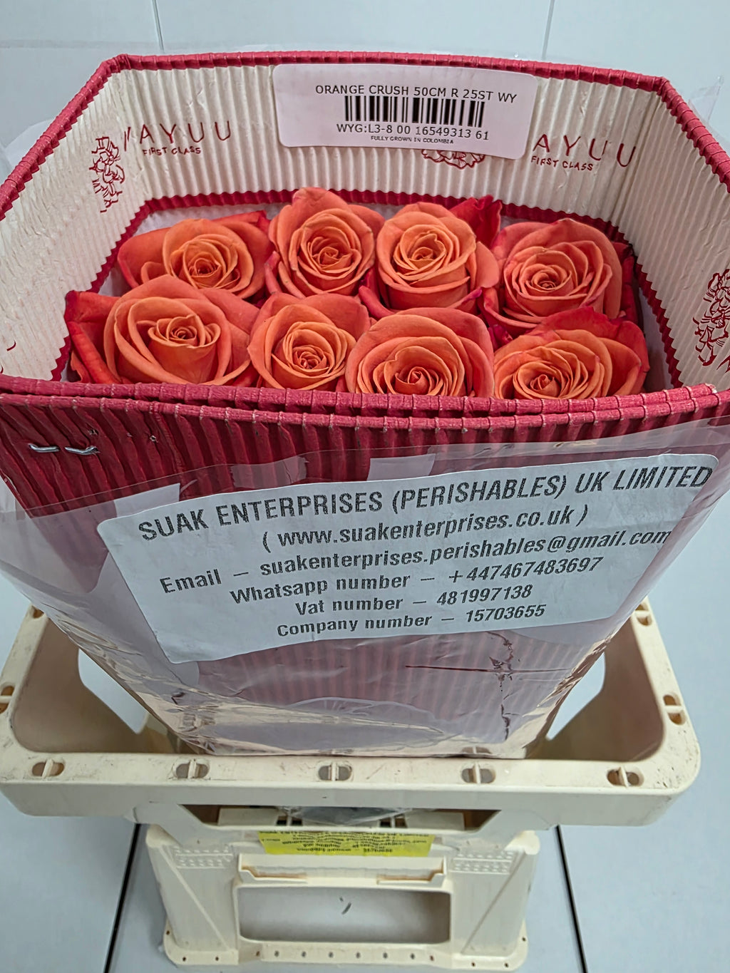 Farm Fresh Rosa Ecuadorian Gr Orange Crush (Bunch of 25 stems, Length 50cm)