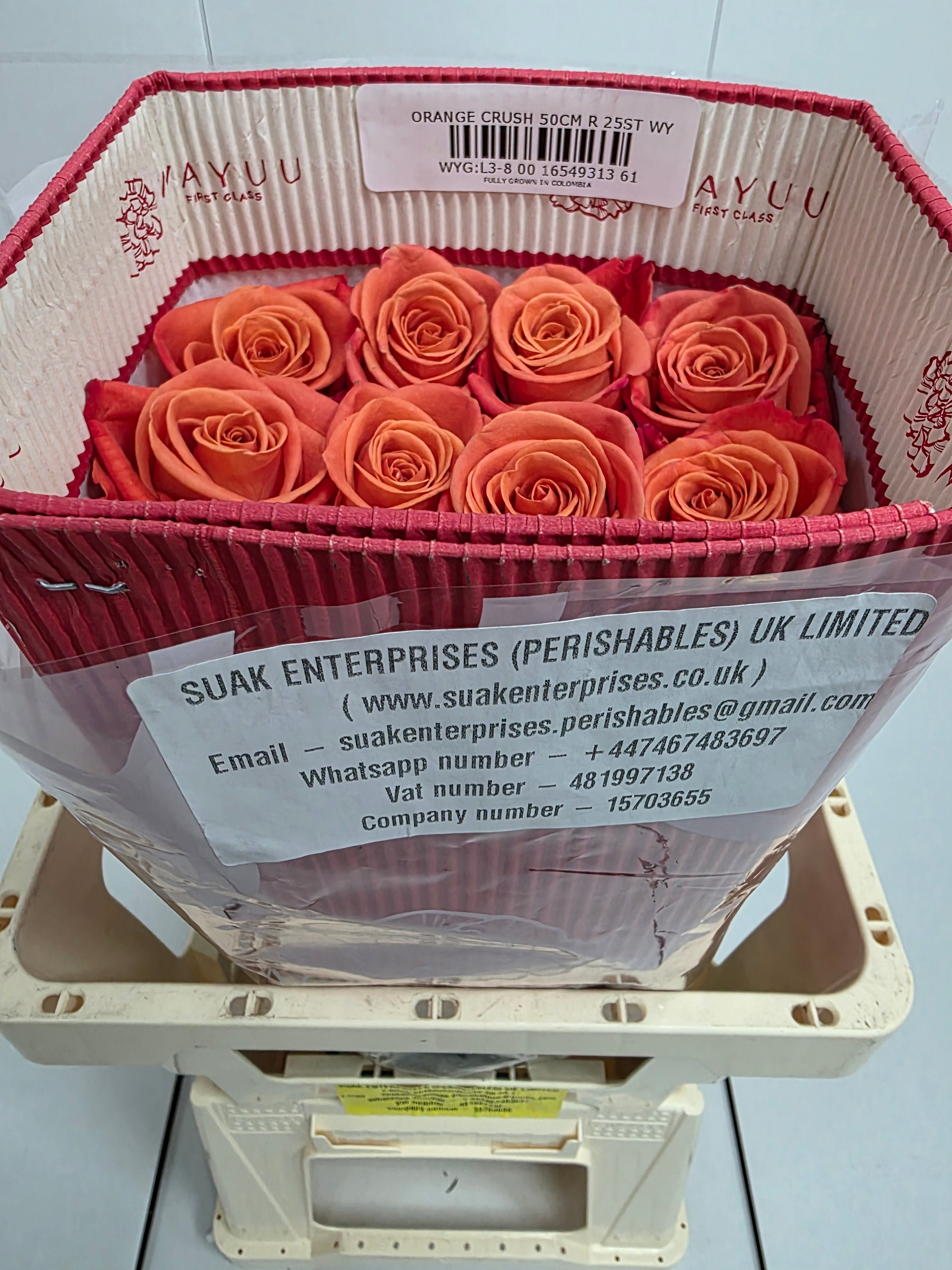 Farm Fresh Rosa Ecuadorian Gr Orange Crush (Bunch of 25 stems, Length 50cm)