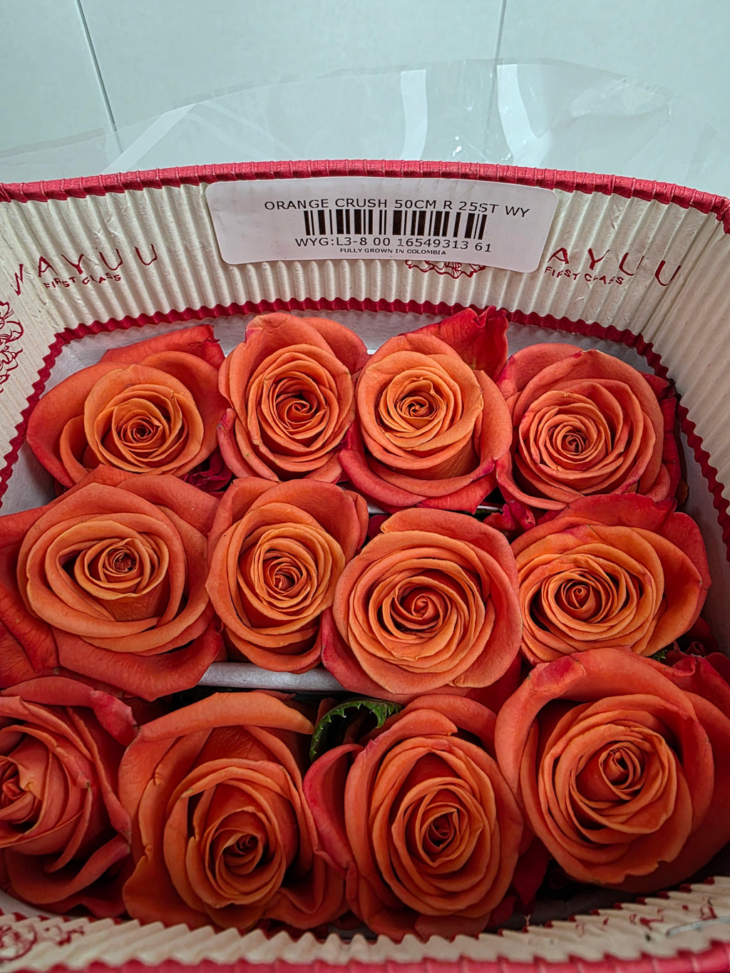 Farm Fresh Rosa Ecuadorian Gr Orange Crush (Bunch of 25 stems, Length 50cm)