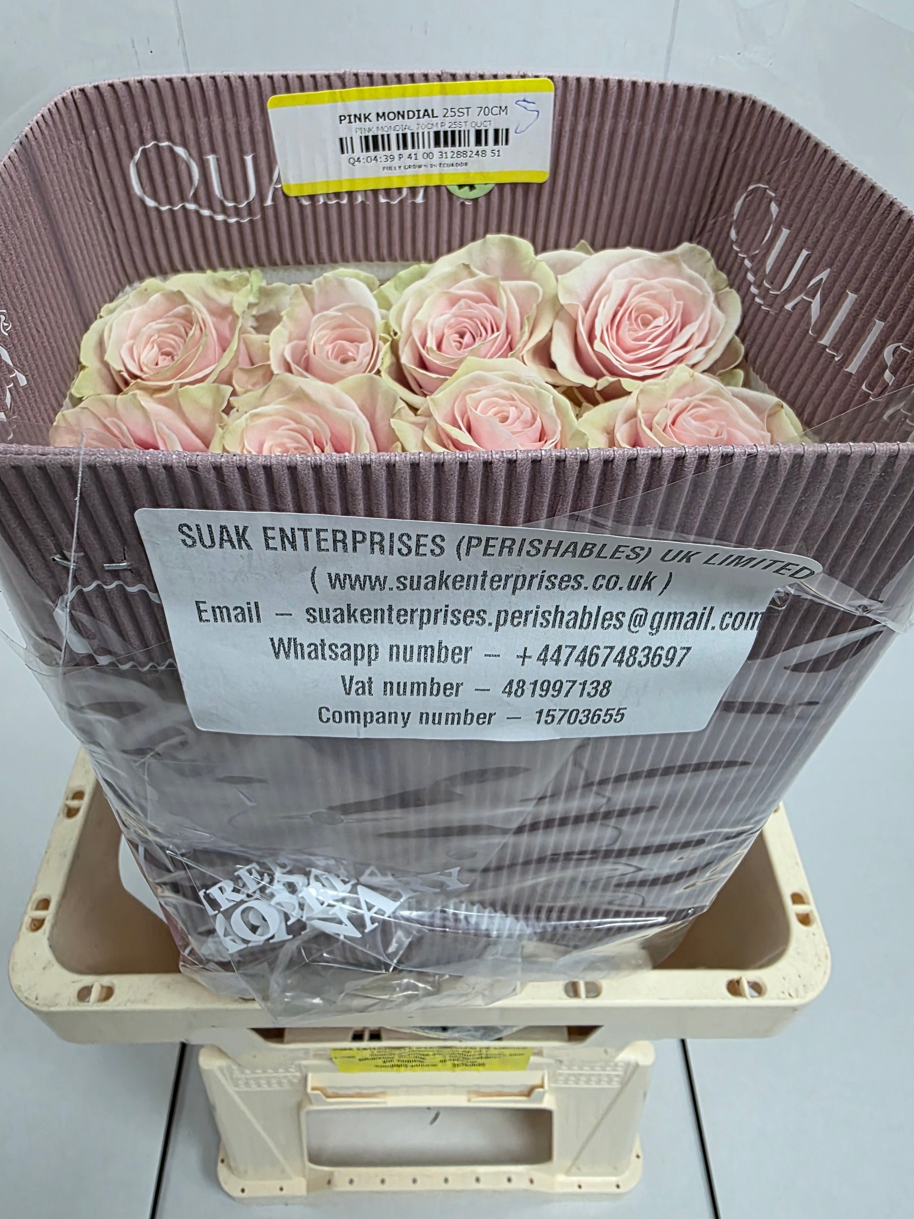 Farm Fresh Rosa Gr Ec Pink Mondial  (Bunch of 25 stems, Length 50cm)