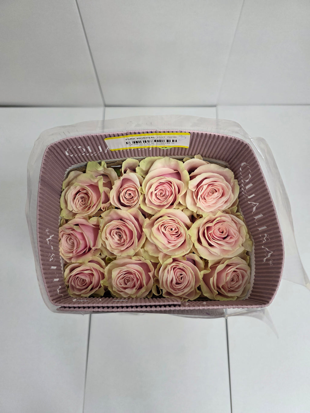 Farm Fresh Rosa Gr Ec Pink Mondial  (Bunch of 25 stems, Length 50cm)
