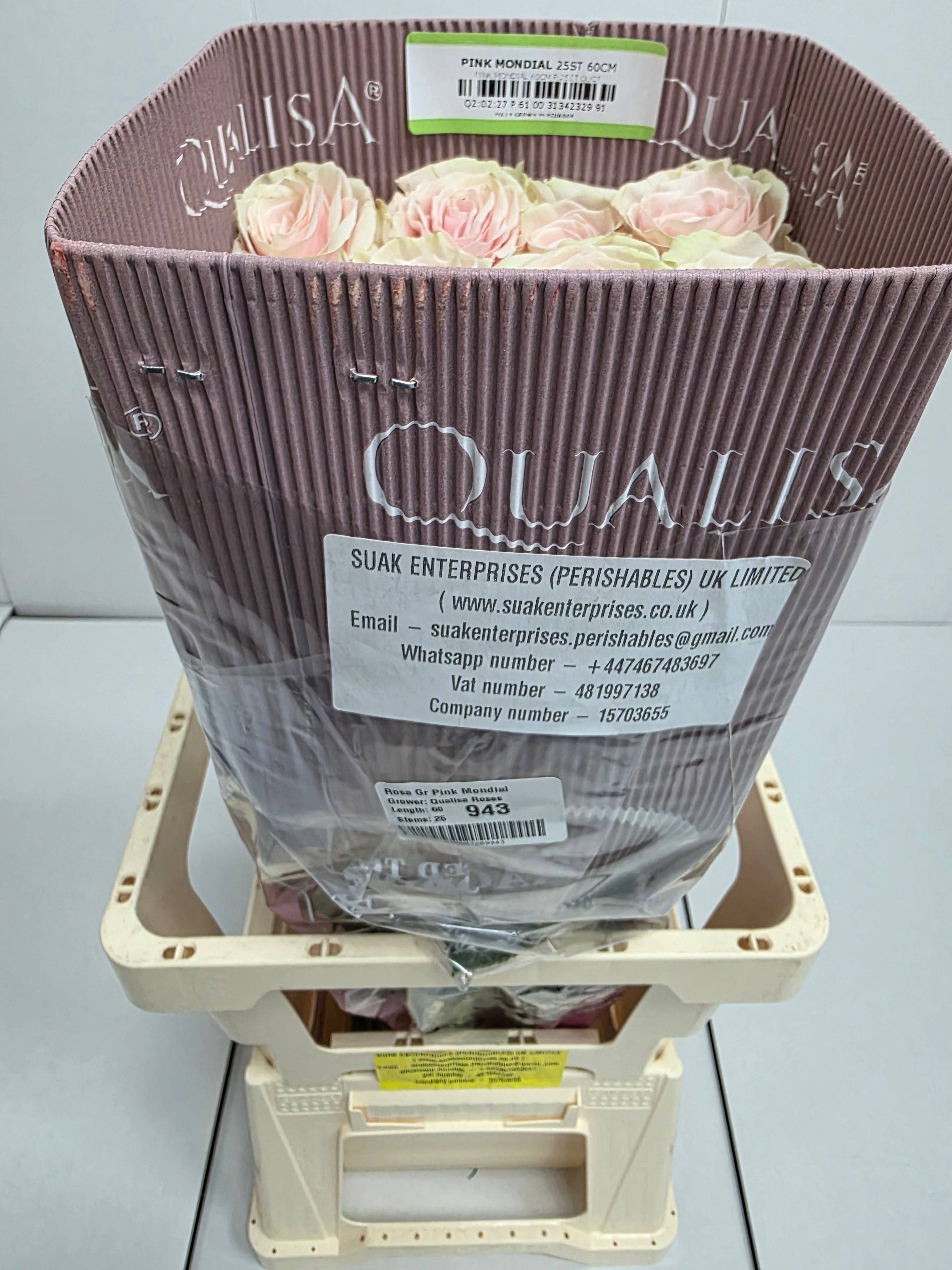 Farm Fresh Rosa Gr Ec Pink Mondial  (Bunch of 25 stems, Length 60cm)