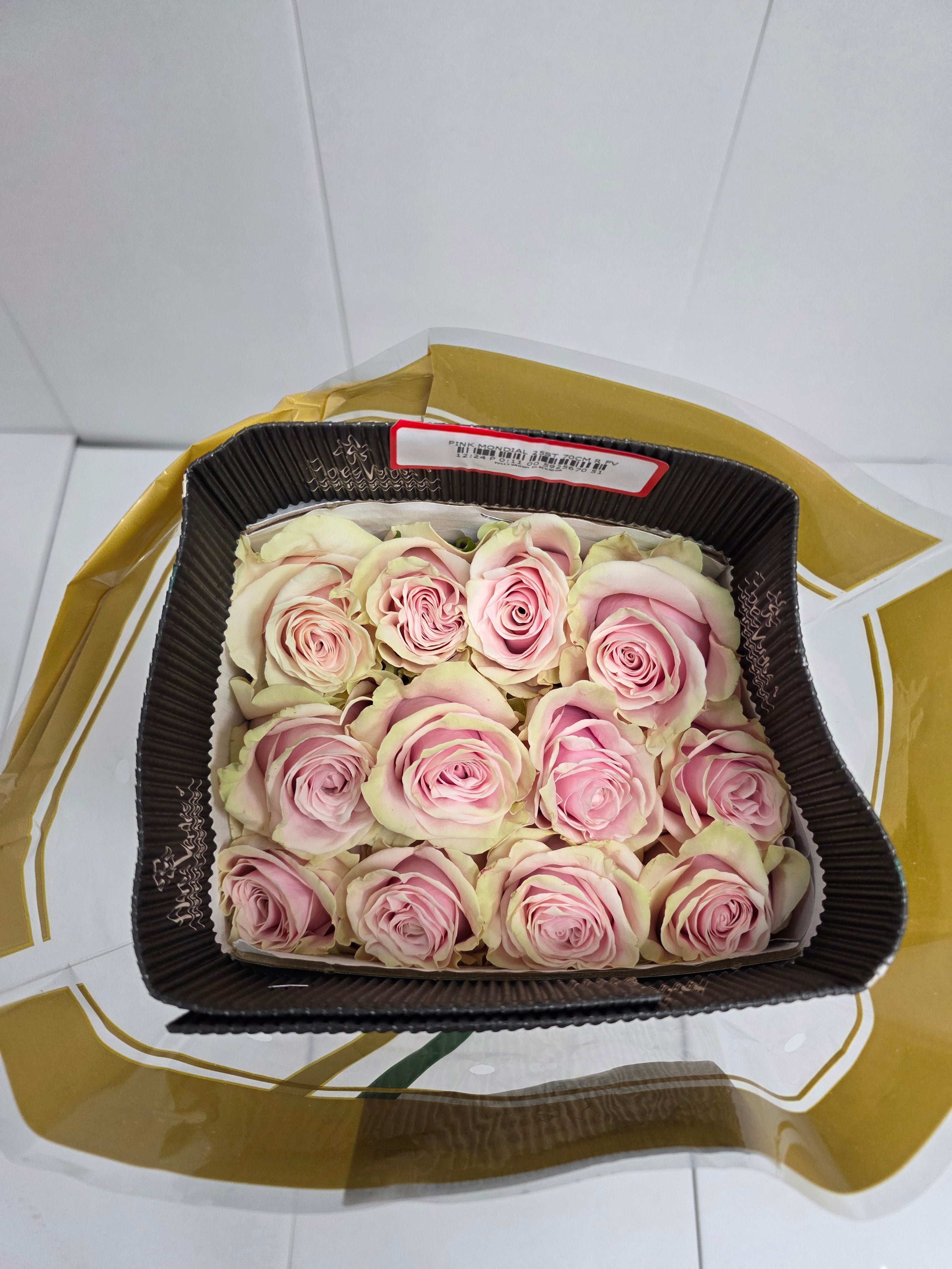 Farm Fresh Rosa Gr Ec Pink Mondial  (Bunch of 25 stems, Length 70cm)