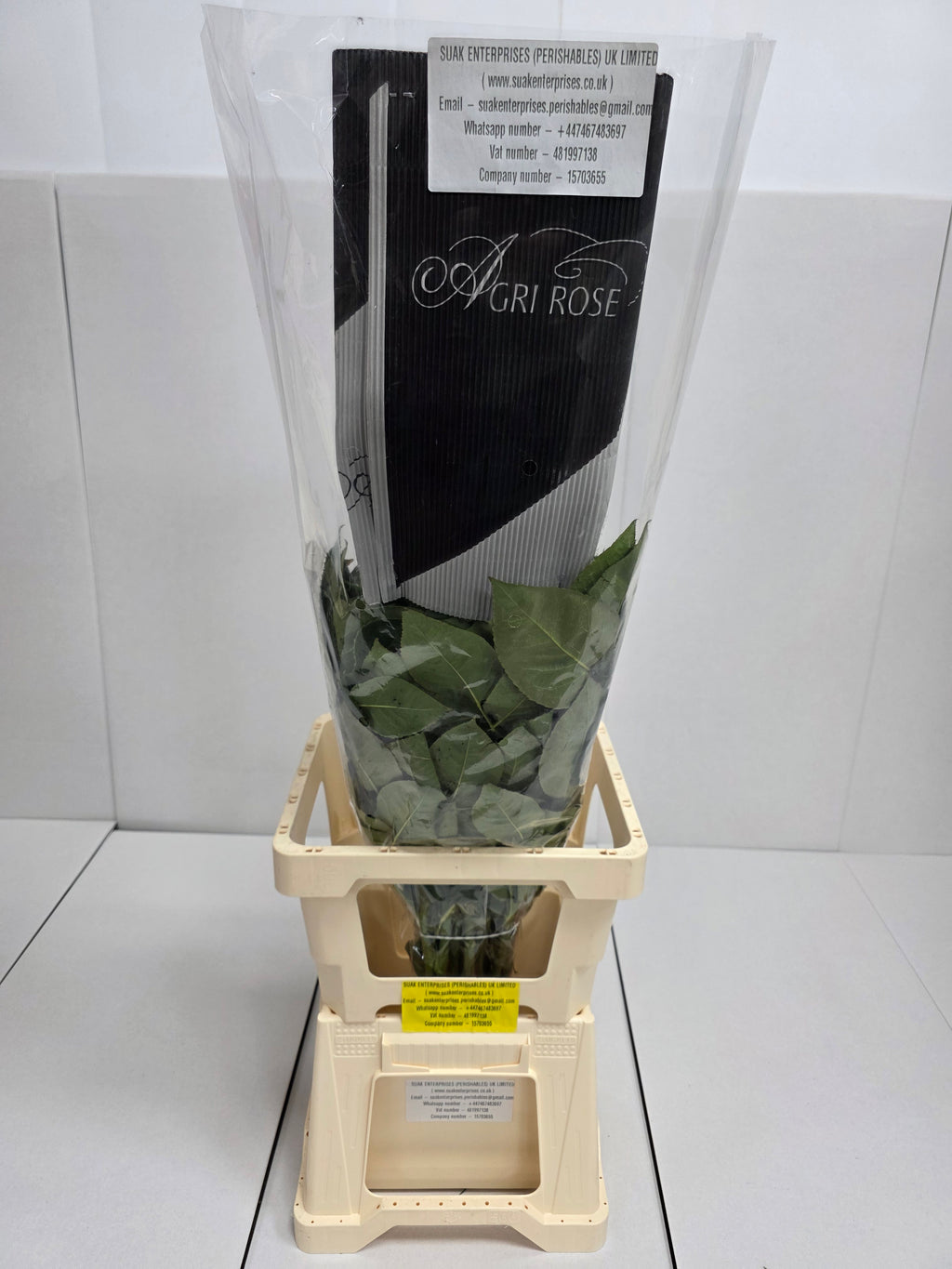 Farm Fresh Rosa Gr Ec Pink Mondial  (Bunch of 25 stems, Length 80cm)