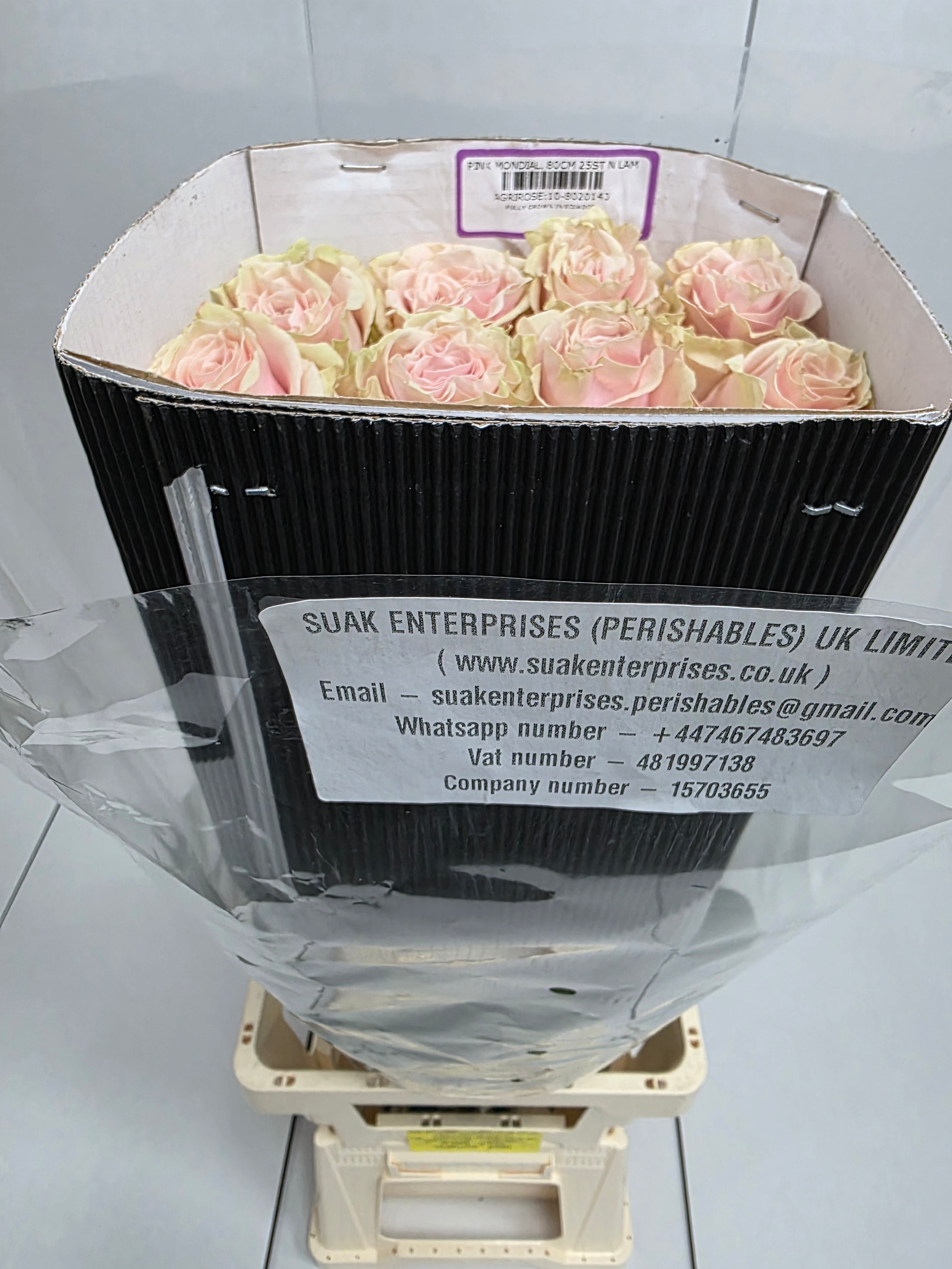 Farm Fresh Rosa Gr Ec Pink Mondial  (Bunch of 25 stems, Length 80cm)
