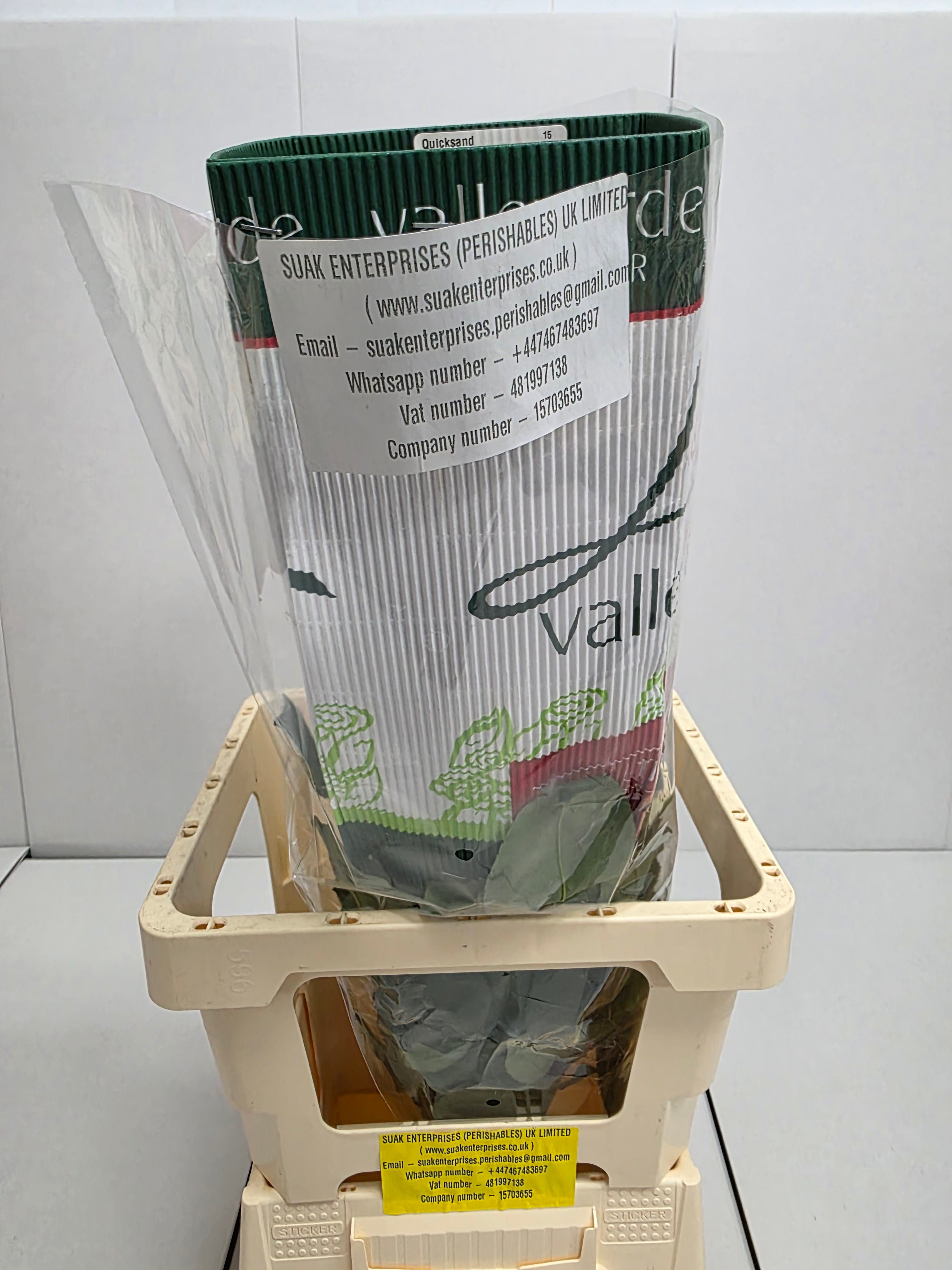 Farm Fresh Rosa Gr Ec Quick Sand (Bunch of 25 stems, Length 60cm)