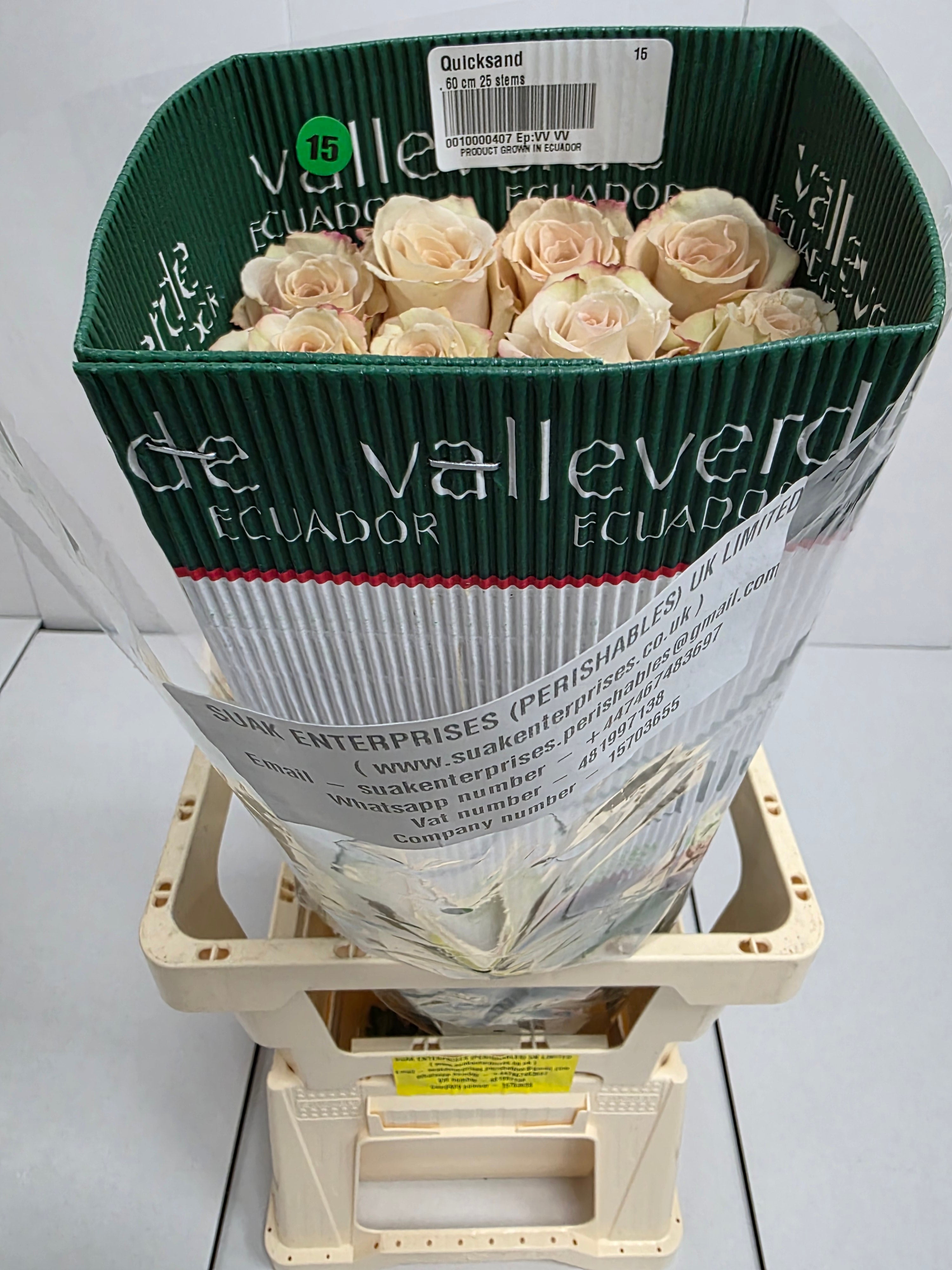 Farm Fresh Rosa Gr Ec Quick Sand (Bunch of 25 stems, Length 60cm)