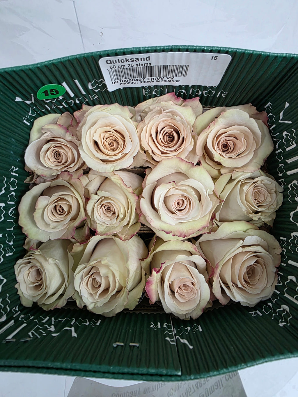 Farm Fresh Rosa Gr Ec Quick Sand (Bunch of 25 stems, Length 60cm)