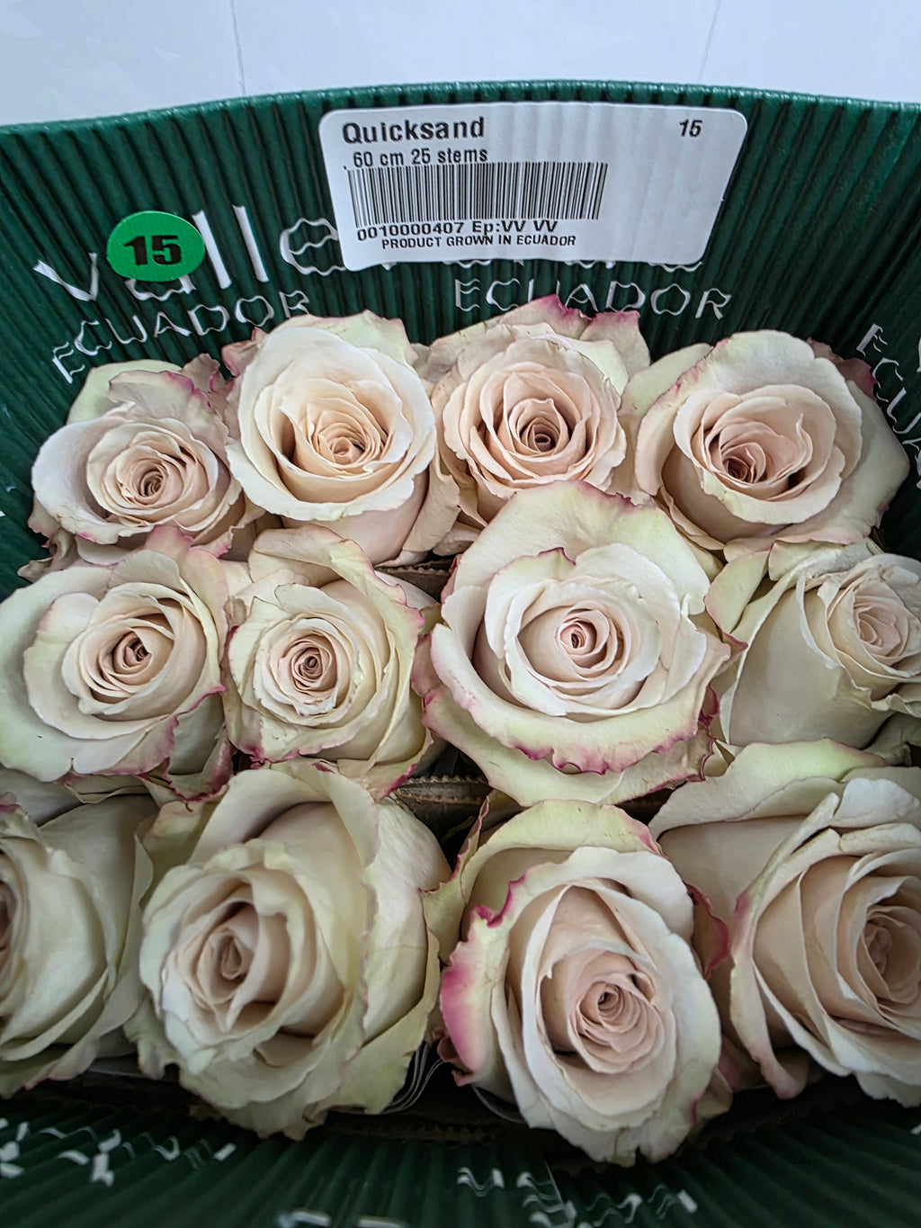 Farm Fresh Rosa Gr Ec Quick Sand (Bunch of 25 stems, Length 60cm)