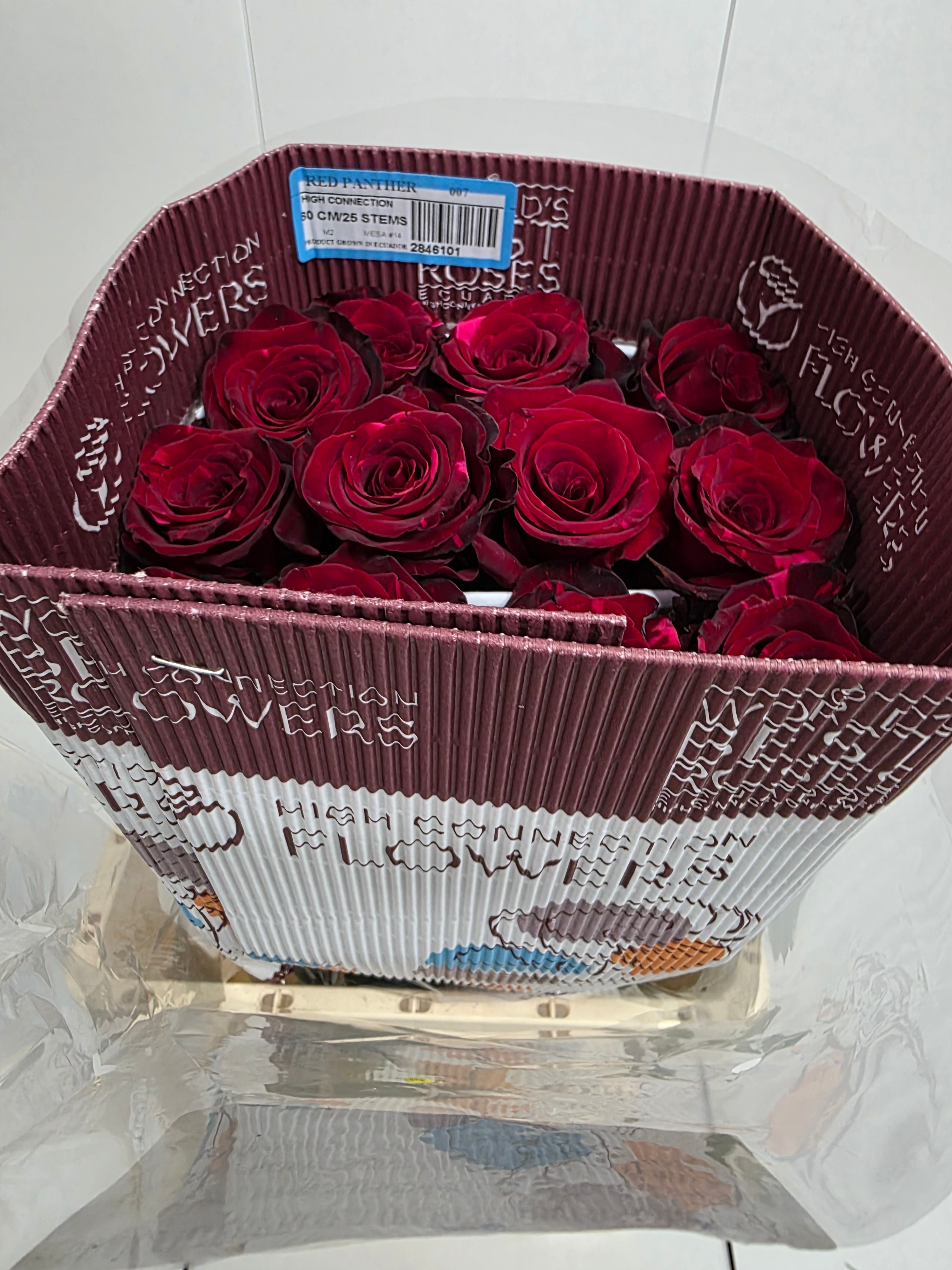 Farm Fresh Rosa Ecuadorian Gr Red Panther (Bunch of 25 stems, Length 60cm)