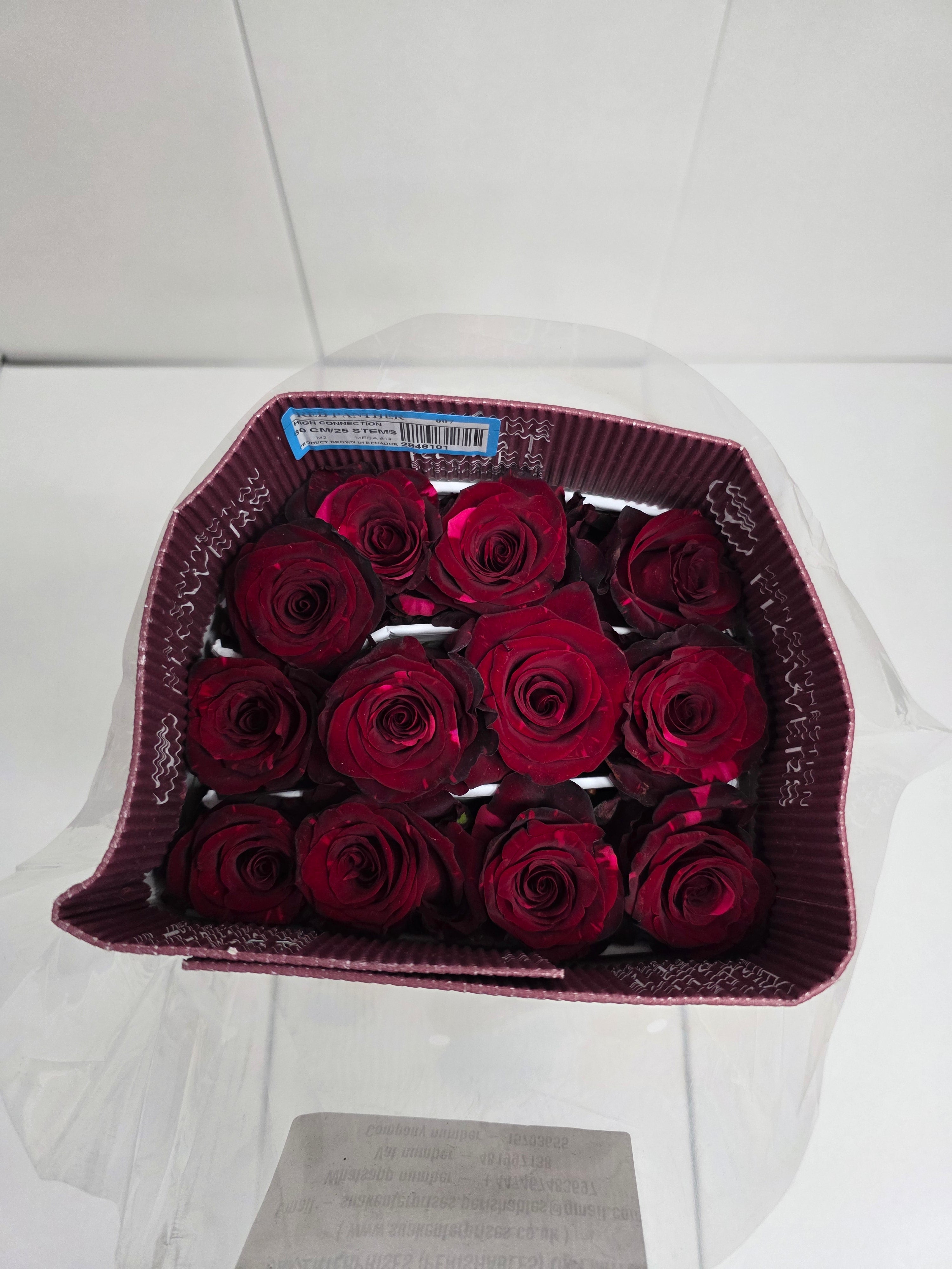 Farm Fresh Rosa Ecuadorian Gr Red Panther (Bunch of 25 stems, Length 60cm)