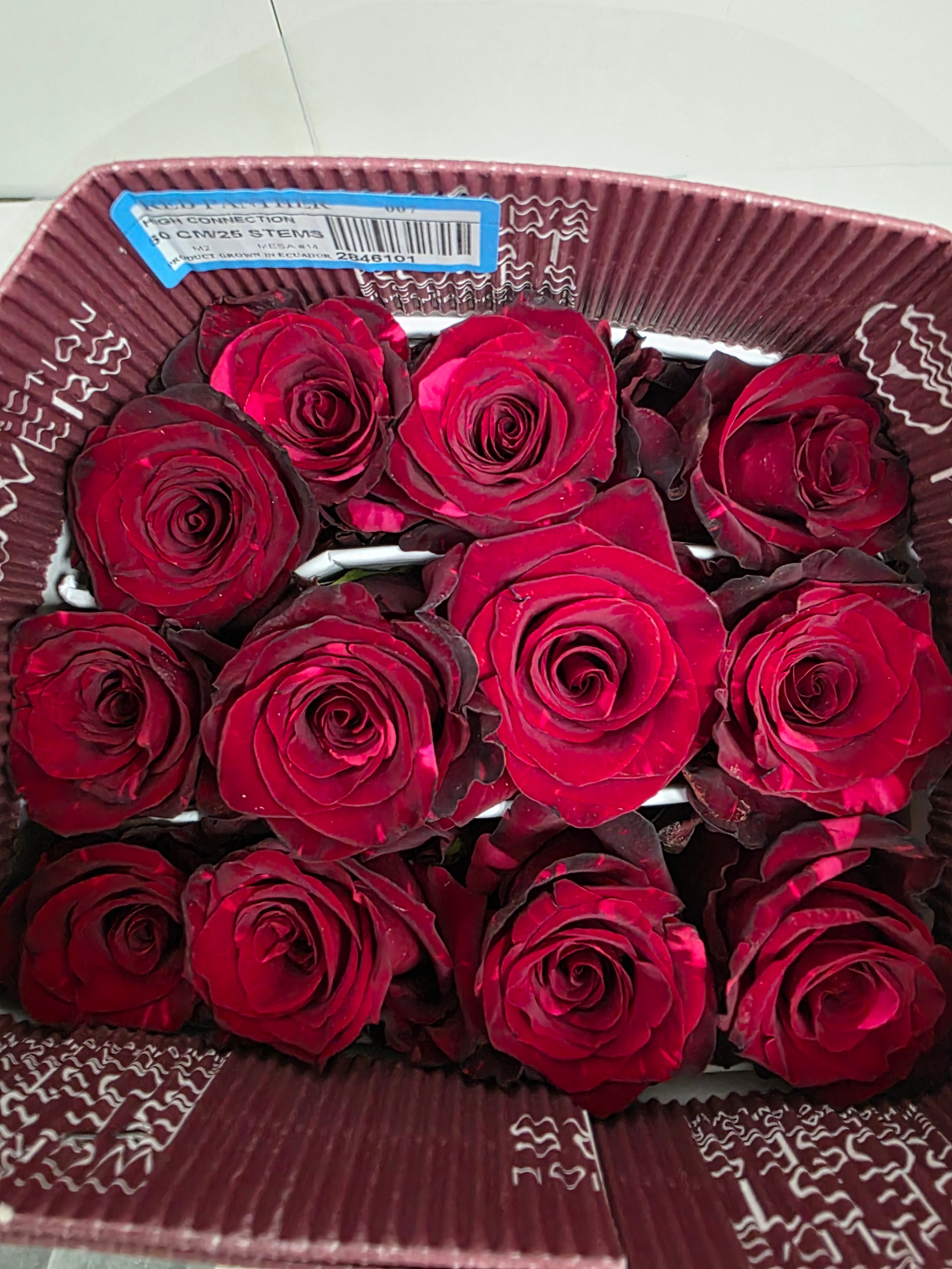 Farm Fresh Rosa Ecuadorian Gr Red Panther (Bunch of 25 stems, Length 60cm)