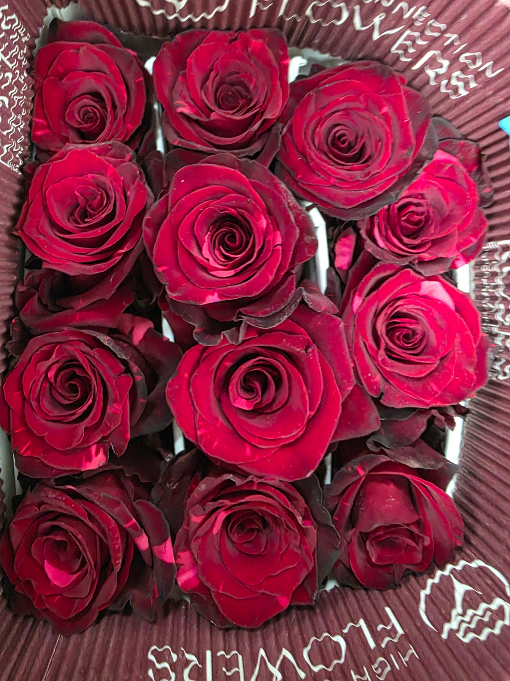 Farm Fresh Rosa Ecuadorian Gr Red Panther (Bunch of 25 stems, Length 60cm)