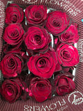 Farm Fresh Rosa Ecuadorian Gr Red Panther (Bunch of 25 stems, Length 60cm)