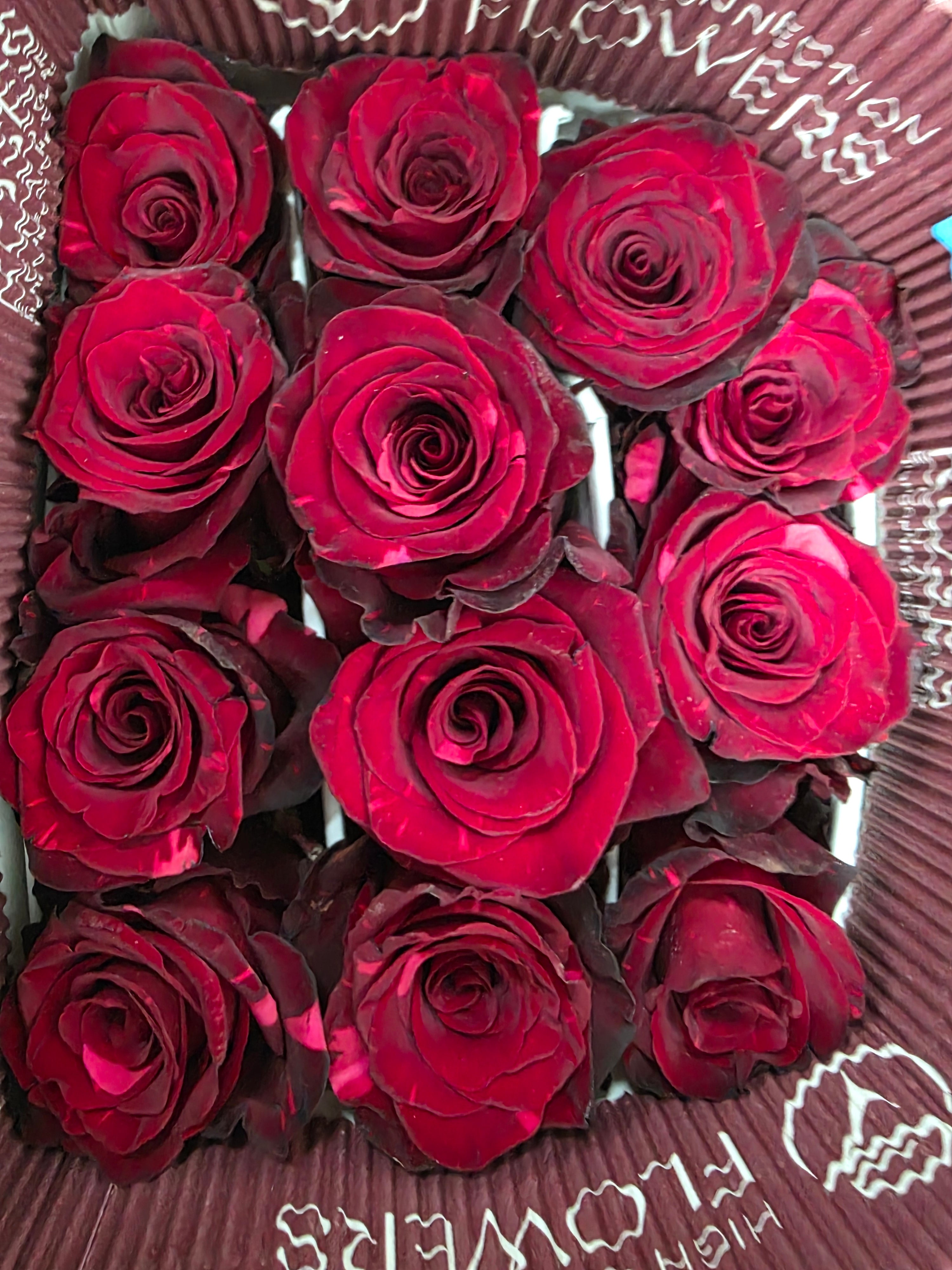 Farm Fresh Rosa Ecuadorian Gr Red Panther (Bunch of 25 stems, Length 60cm)