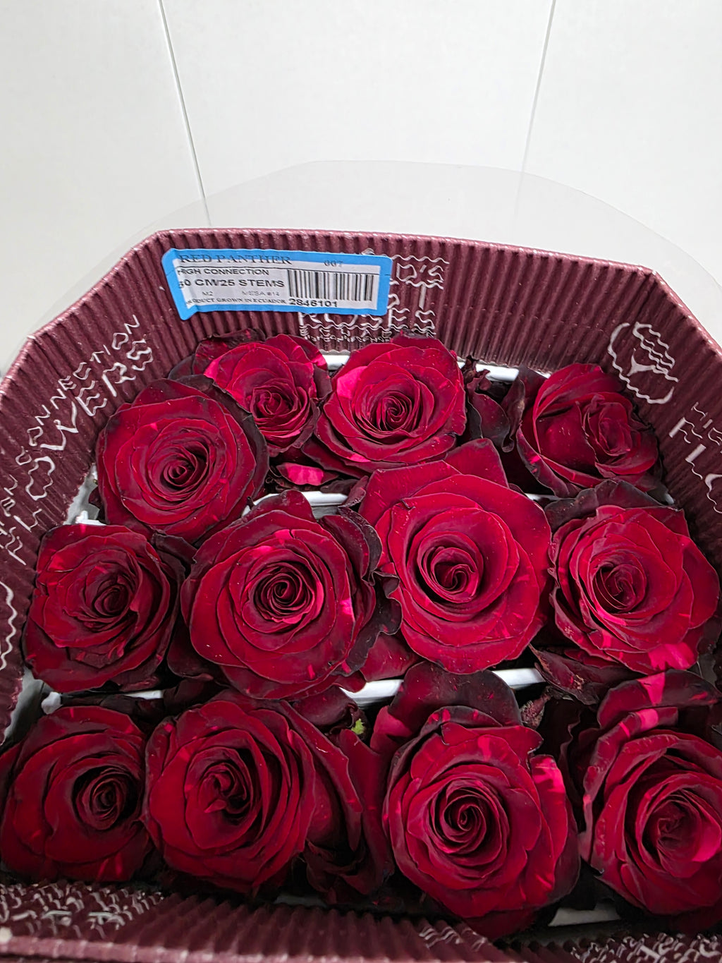 Farm Fresh Rosa Ecuadorian Gr Red Panther (Bunch of 25 stems, Length 60cm)