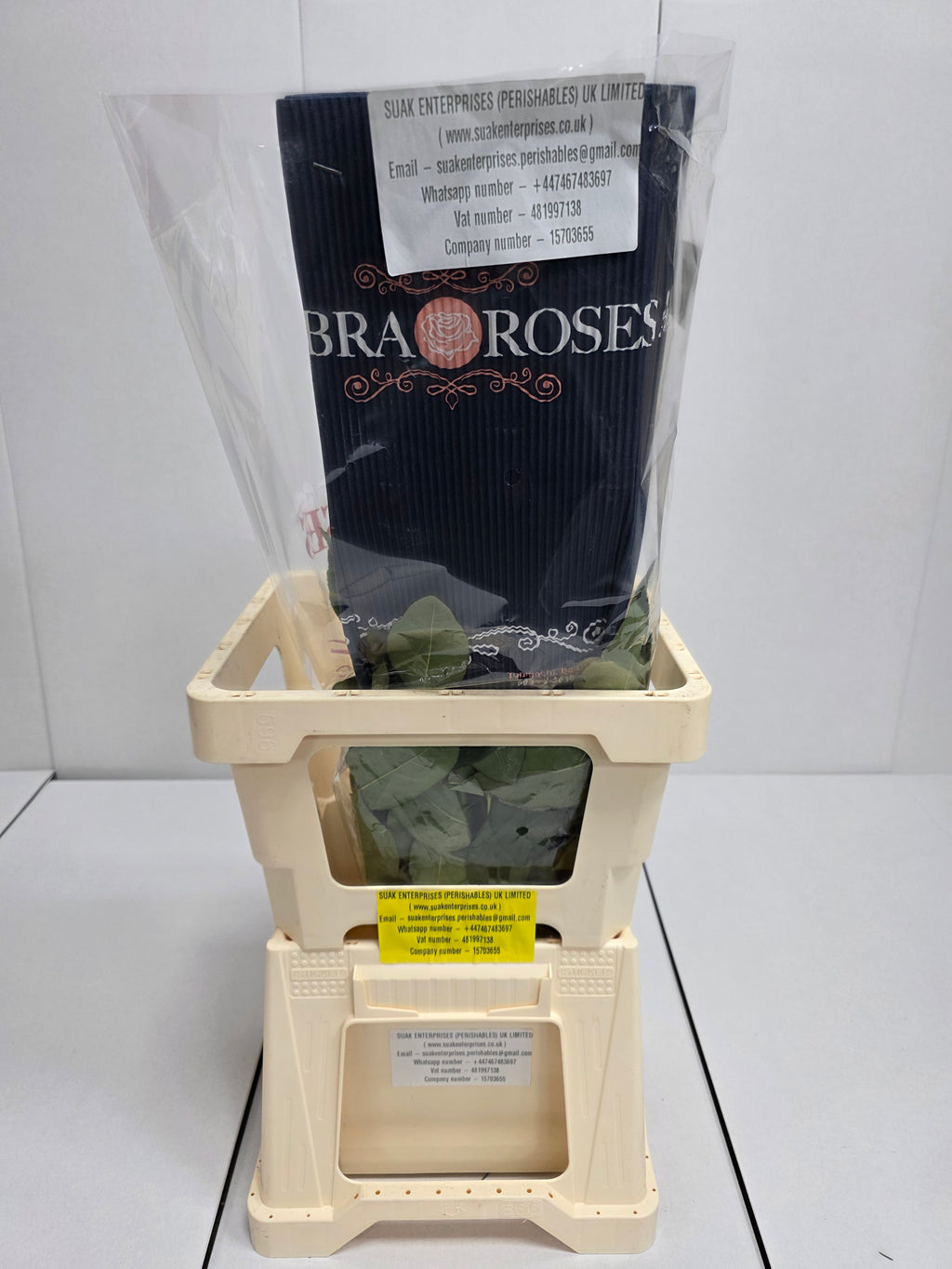 Farm Fresh Rosa Ecuadorian Gr Secret Garden (Bunch of 25 stems, Length 60cm)