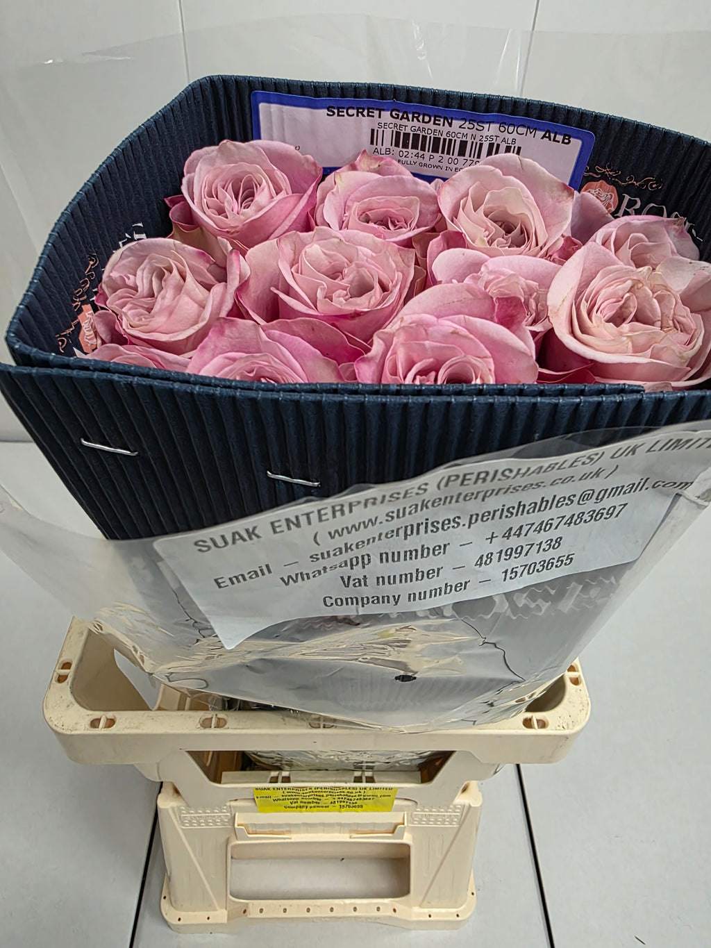 Farm Fresh Rosa Ecuadorian Gr Secret Garden (Bunch of 25 stems, Length 60cm)