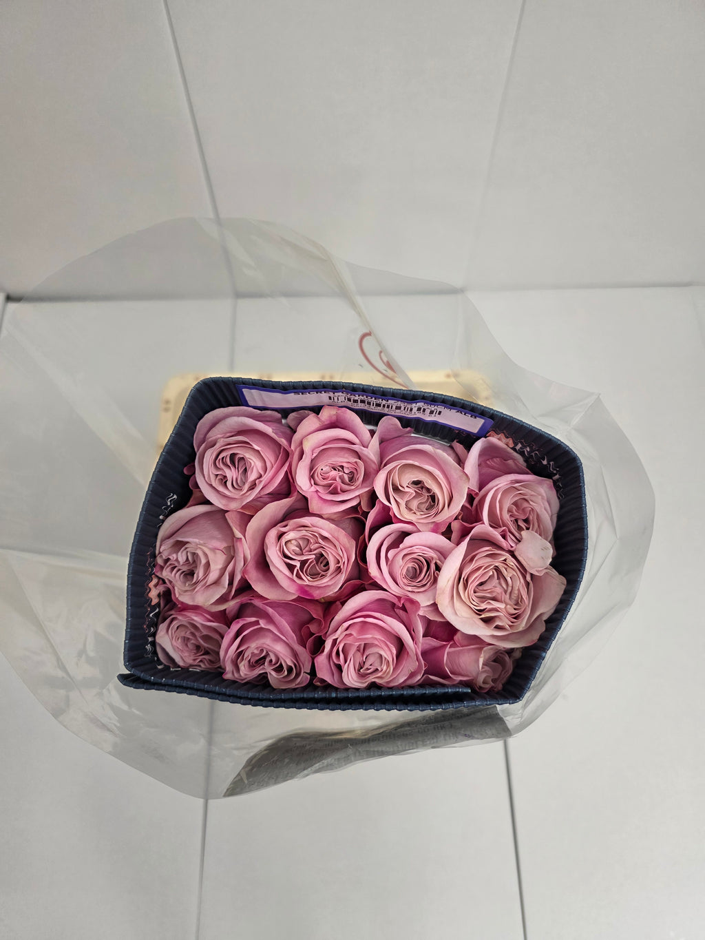 Farm Fresh Rosa Ecuadorian Gr Secret Garden (Bunch of 25 stems, Length 60cm)