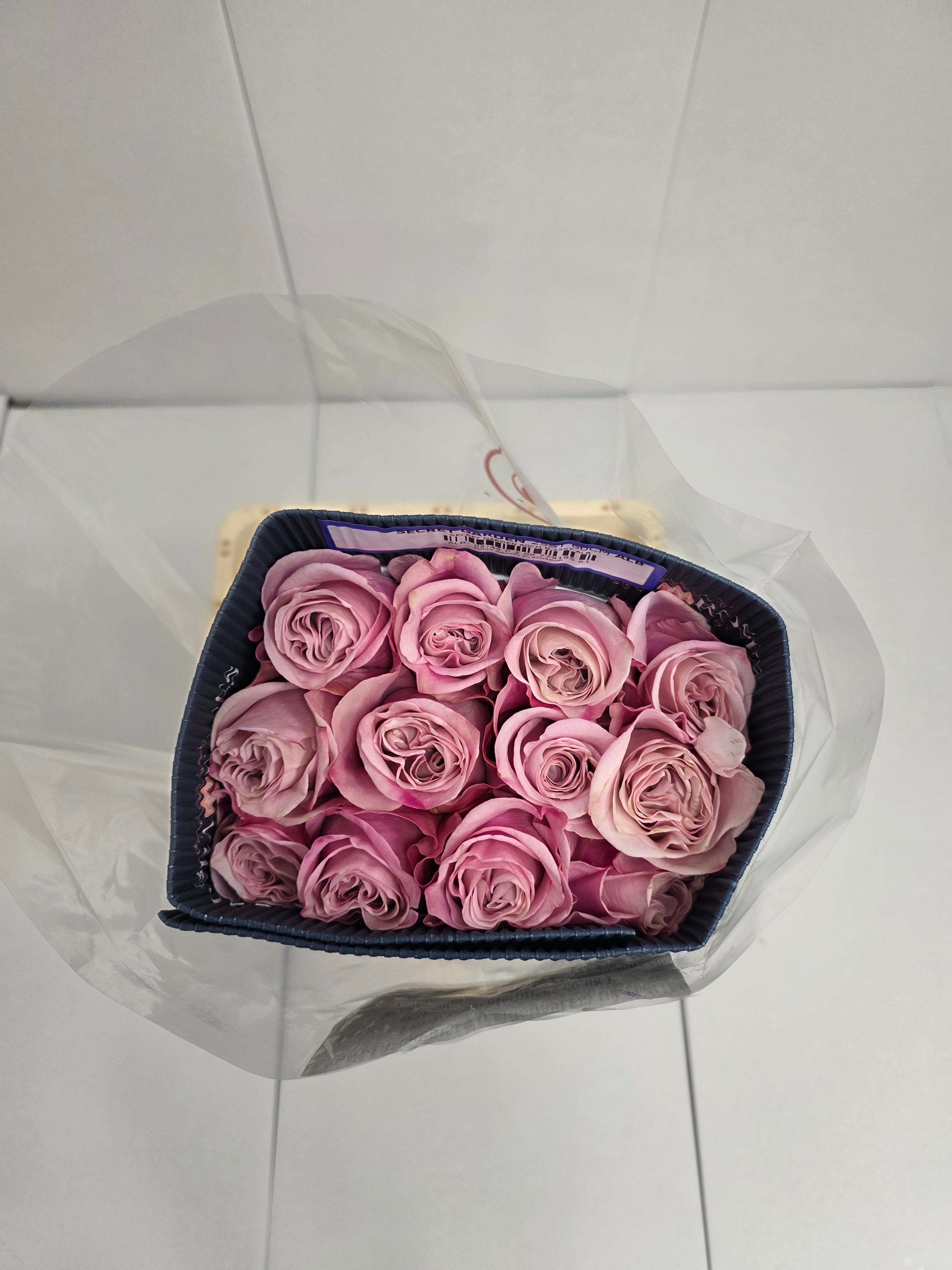 Farm Fresh Rosa Ecuadorian Gr Secret Garden (Bunch of 25 stems, Length 60cm)