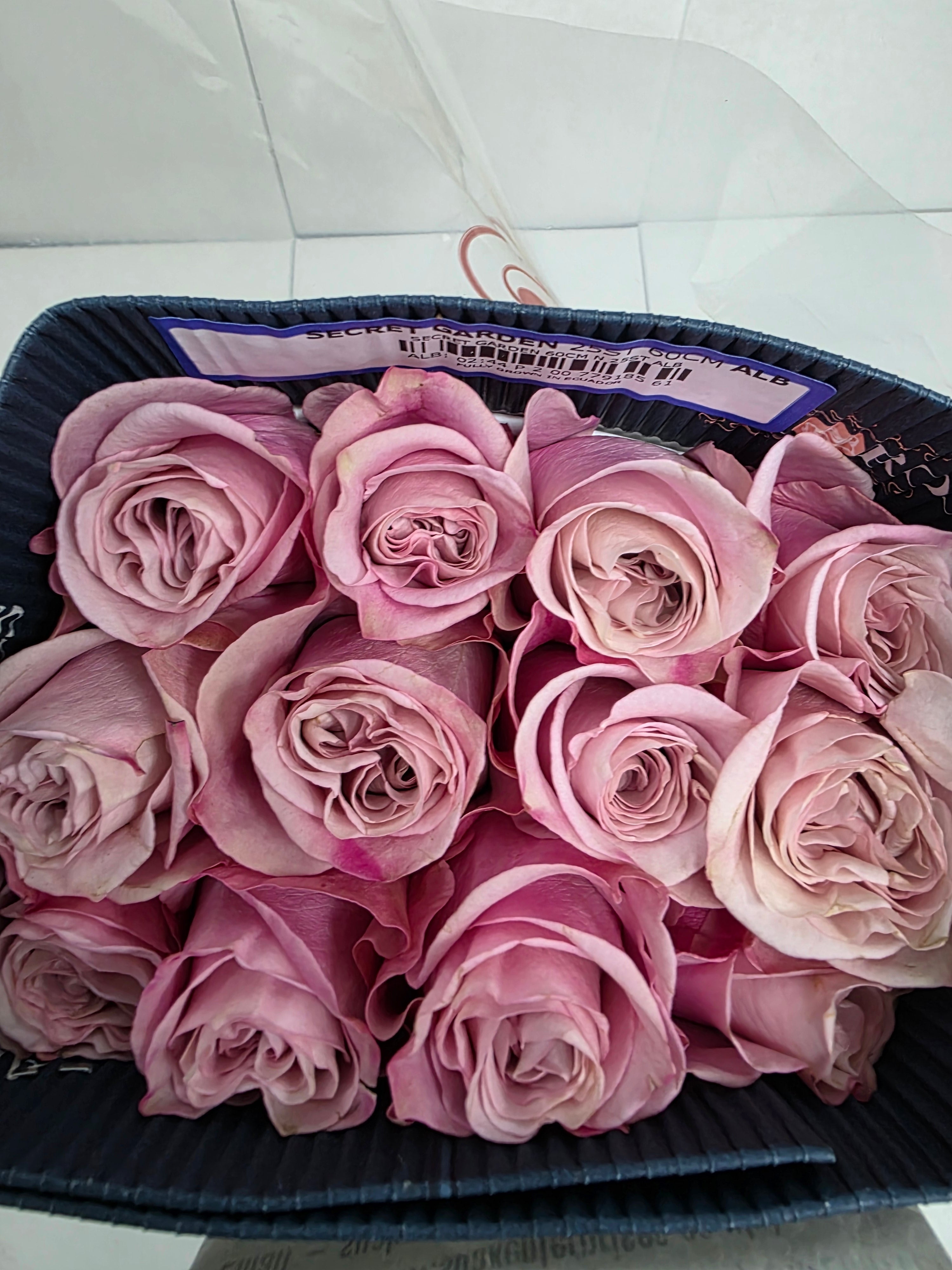 Farm Fresh Rosa Ecuadorian Gr Secret Garden (Bunch of 25 stems, Length 60cm)