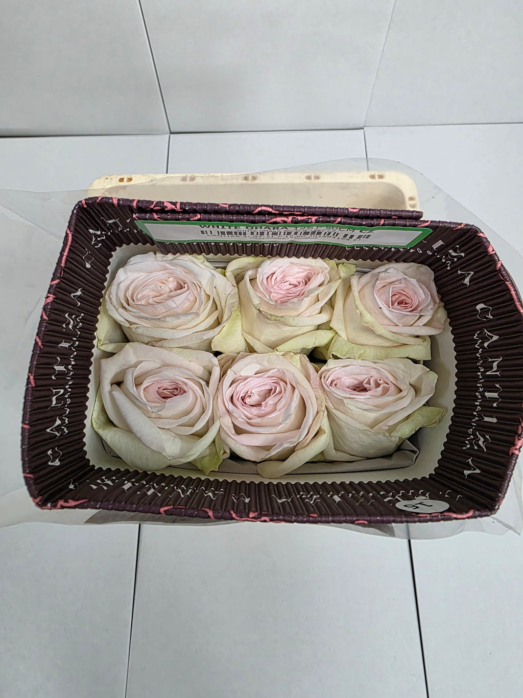 Farm Fresh Rosa Ecuadorian Garden White Ohara (Bunch of 25 stems, Length 60cm)