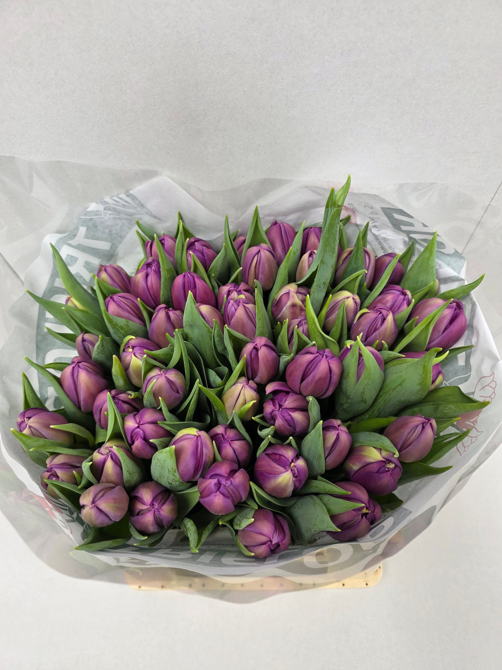 Farm Fresh Tulipa Co crown Negrita ( Bunch of 50stems, Length 44cm)