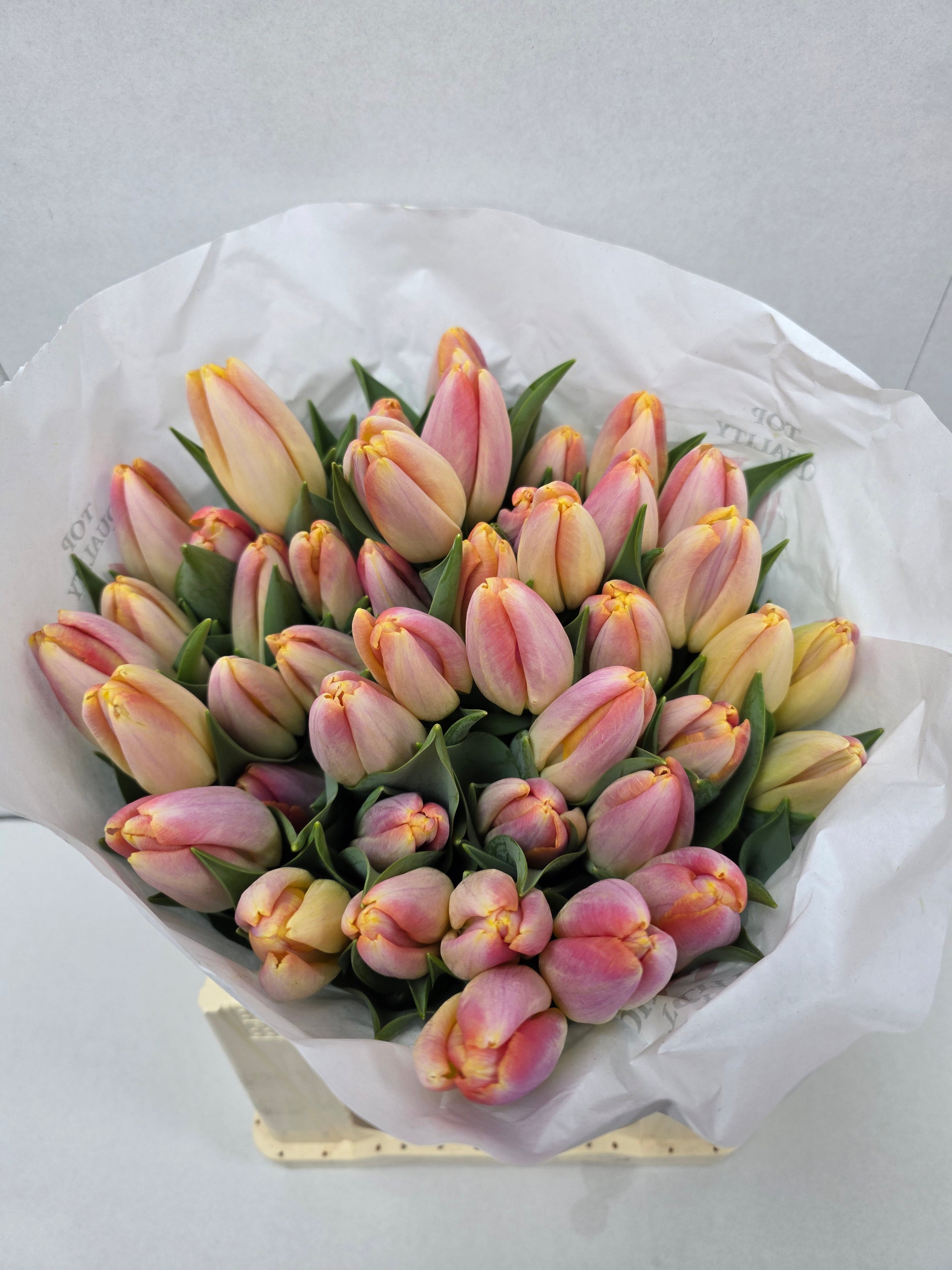 Farm Fresh Tulipa En Kunyun ( Bunch of 50stems, Length 37cm)